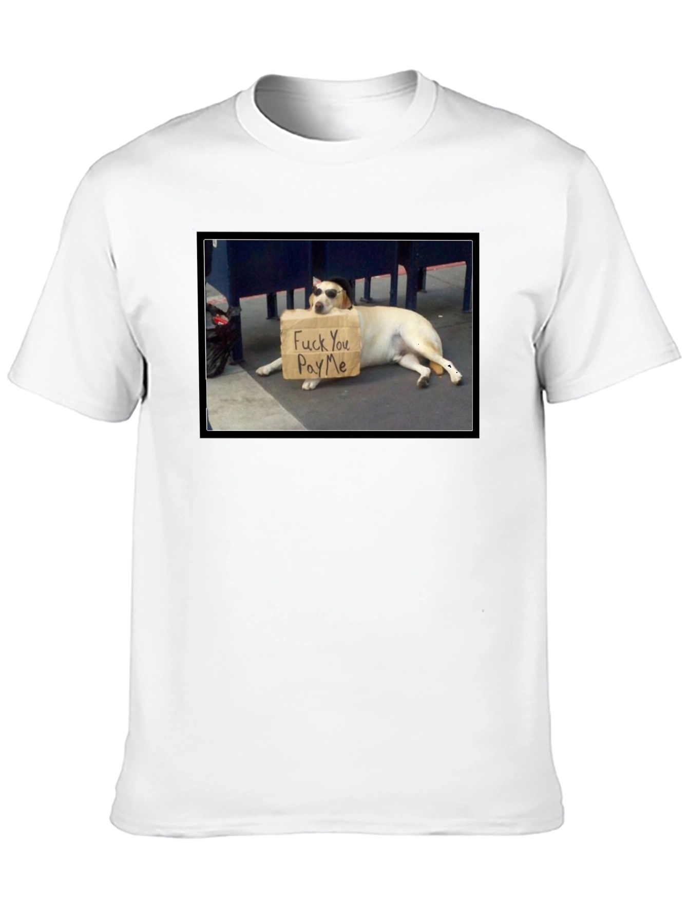 Funny Pay Me Dog T-Shirt