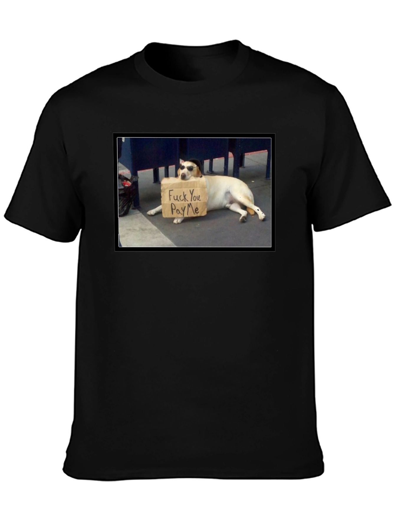 Funny Pay Me Dog T-Shirt