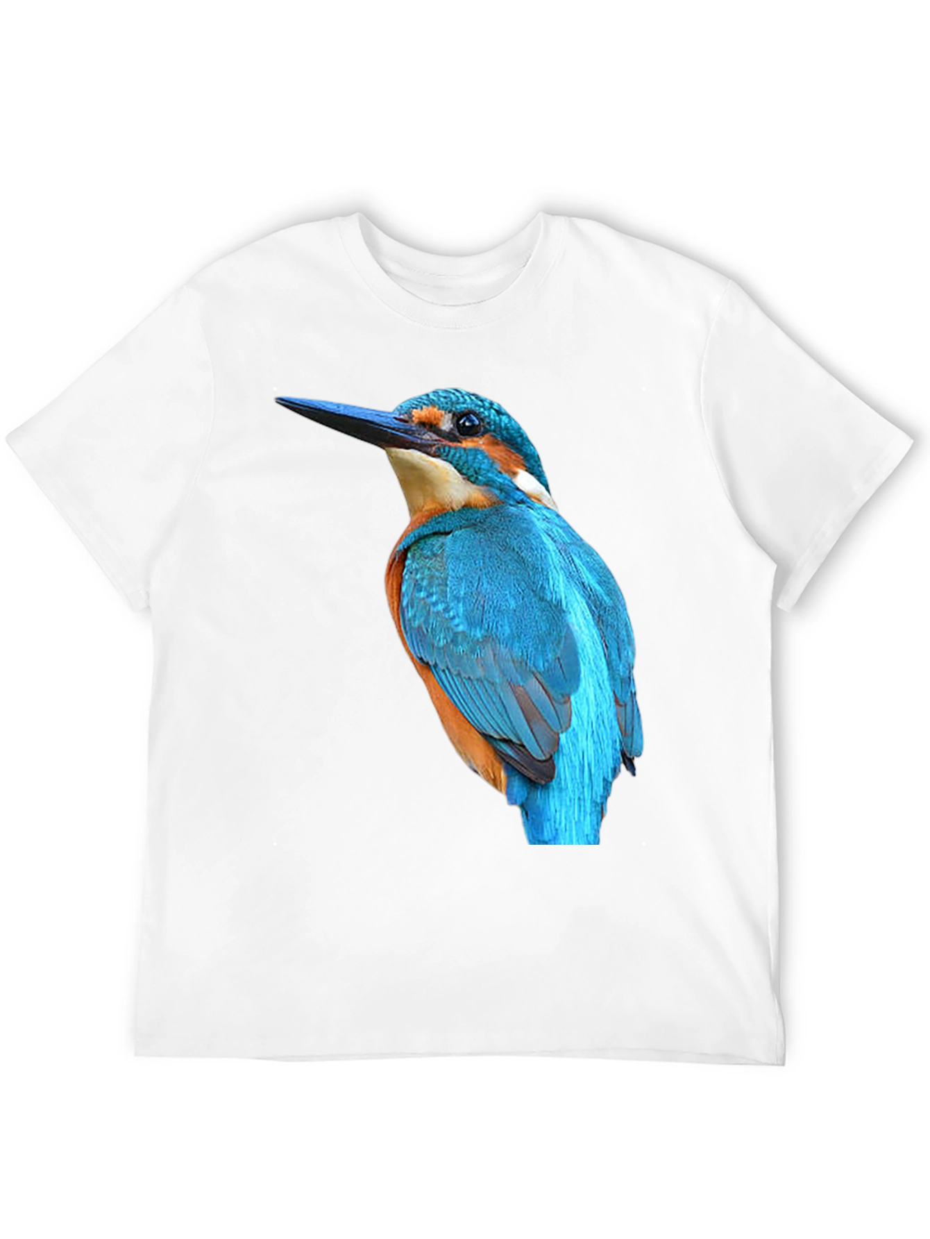 Kingfisher Bird Graphic Black T-Shirt