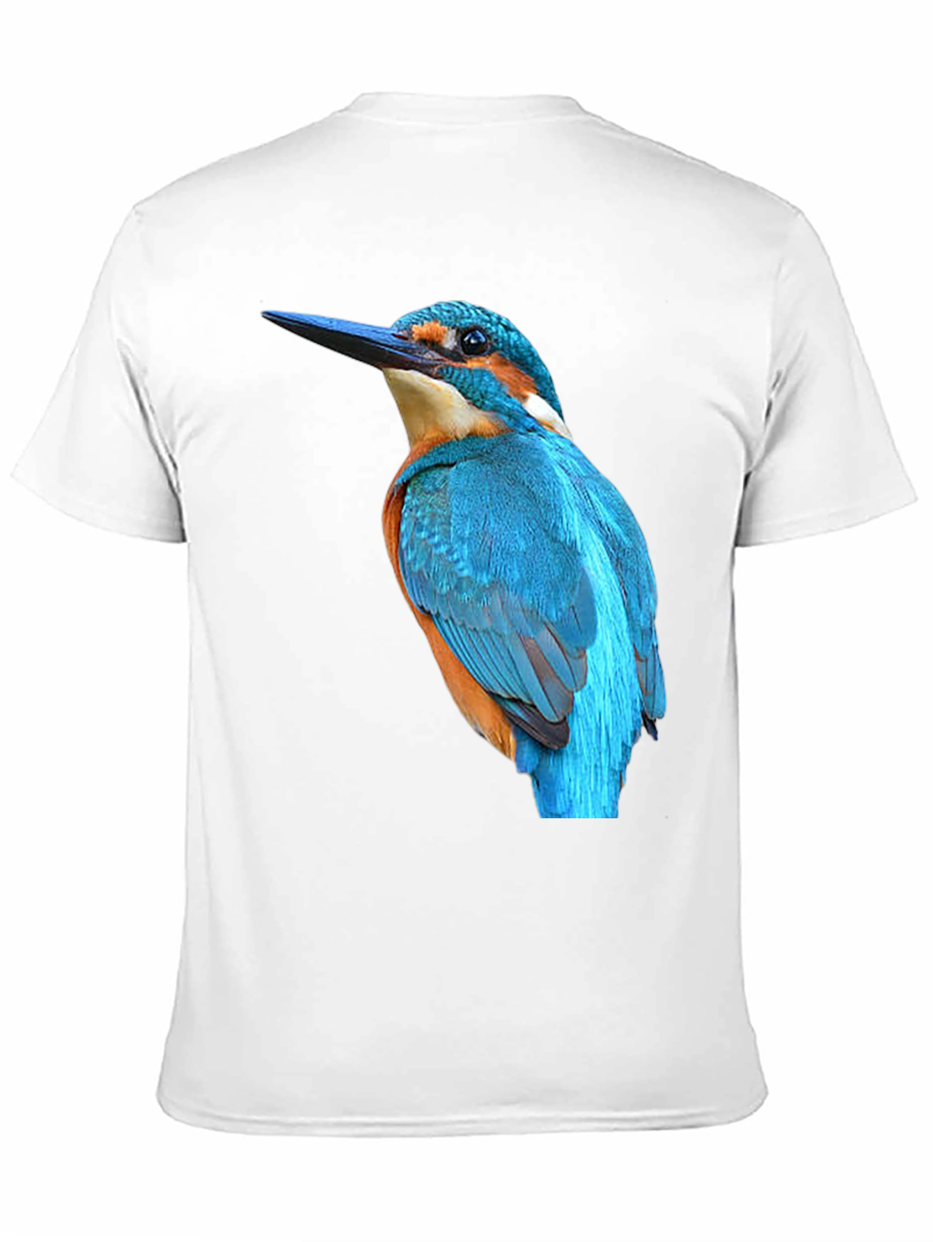 Kingfisher Bird Graphic Black T-Shirt