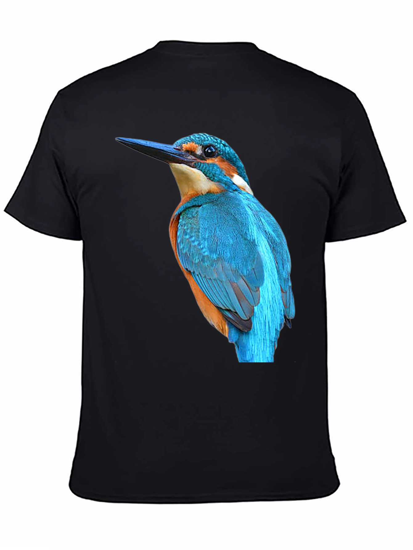 Kingfisher Bird Graphic Black T-Shirt
