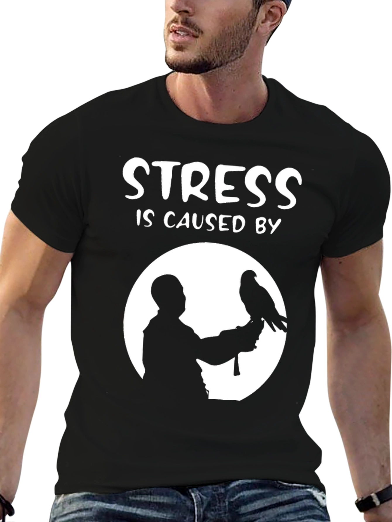 Stress Caused By Birds T-Shirt: Falconry Silhouette Design