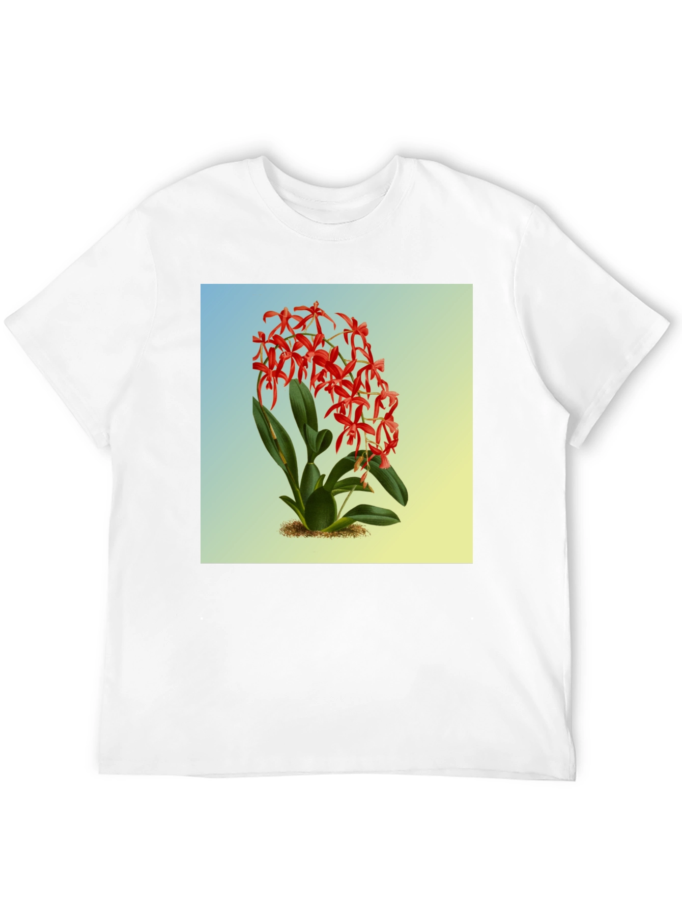 Botanical Orchid Graphic Tee - Classic Fit