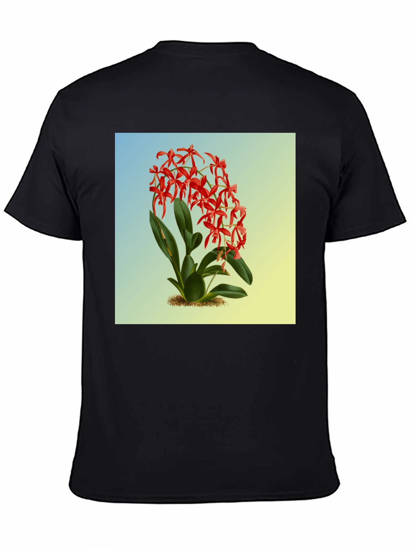 Botanical Orchid Graphic Tee - Classic Fit