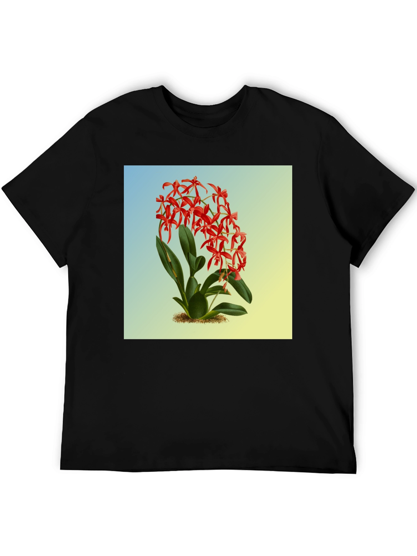 Botanical Orchid Graphic Tee - Classic Fit