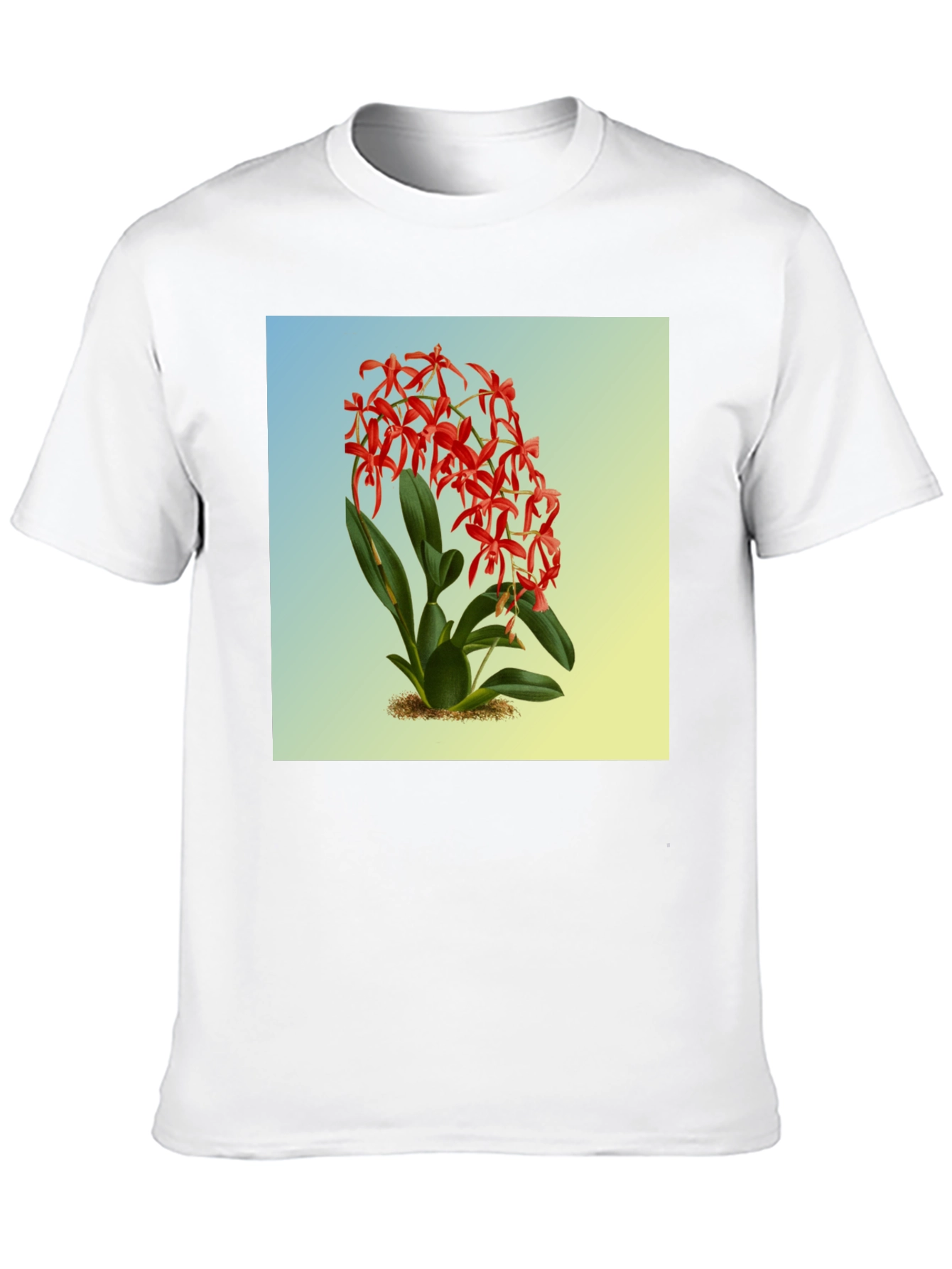Botanical Orchid Graphic Tee - Classic Fit