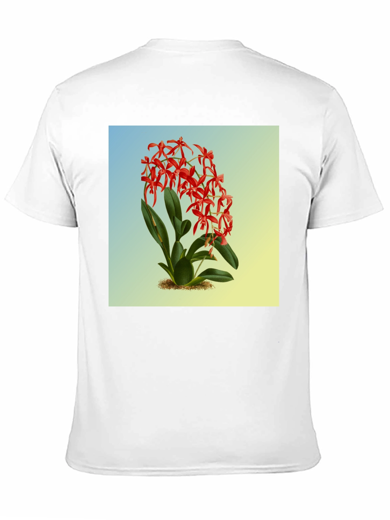 Botanical Orchid Graphic Tee - Classic Fit