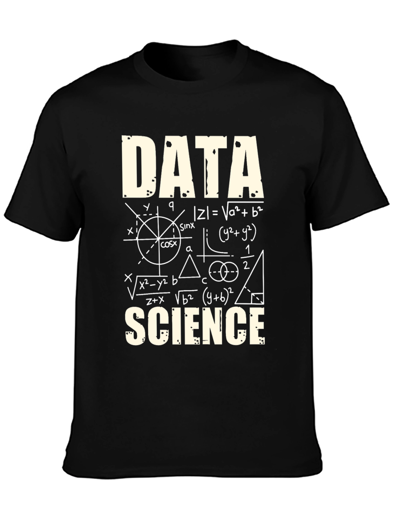 Data Science Formula Black T-Shirt
