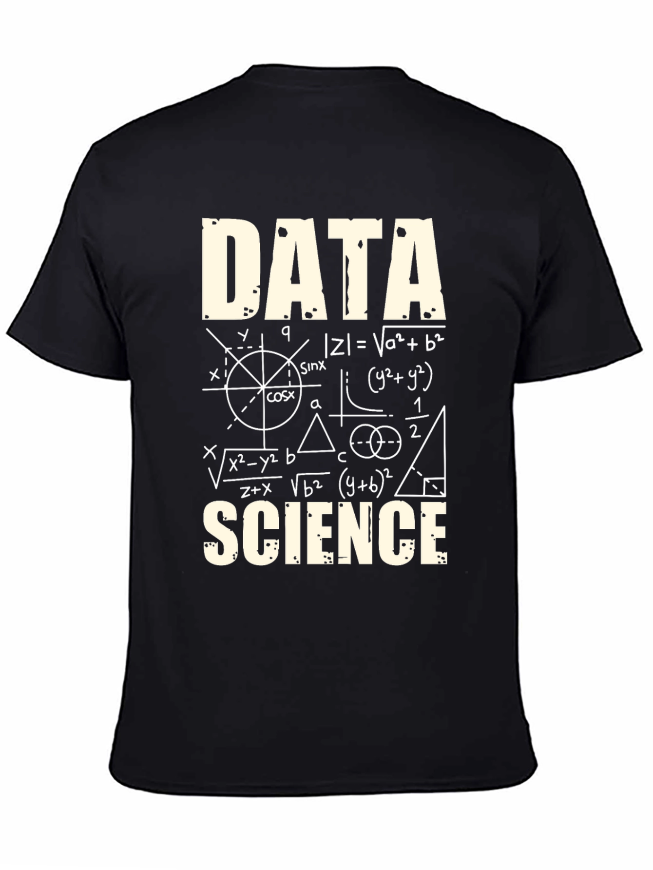 Data Science Formula Black T-Shirt