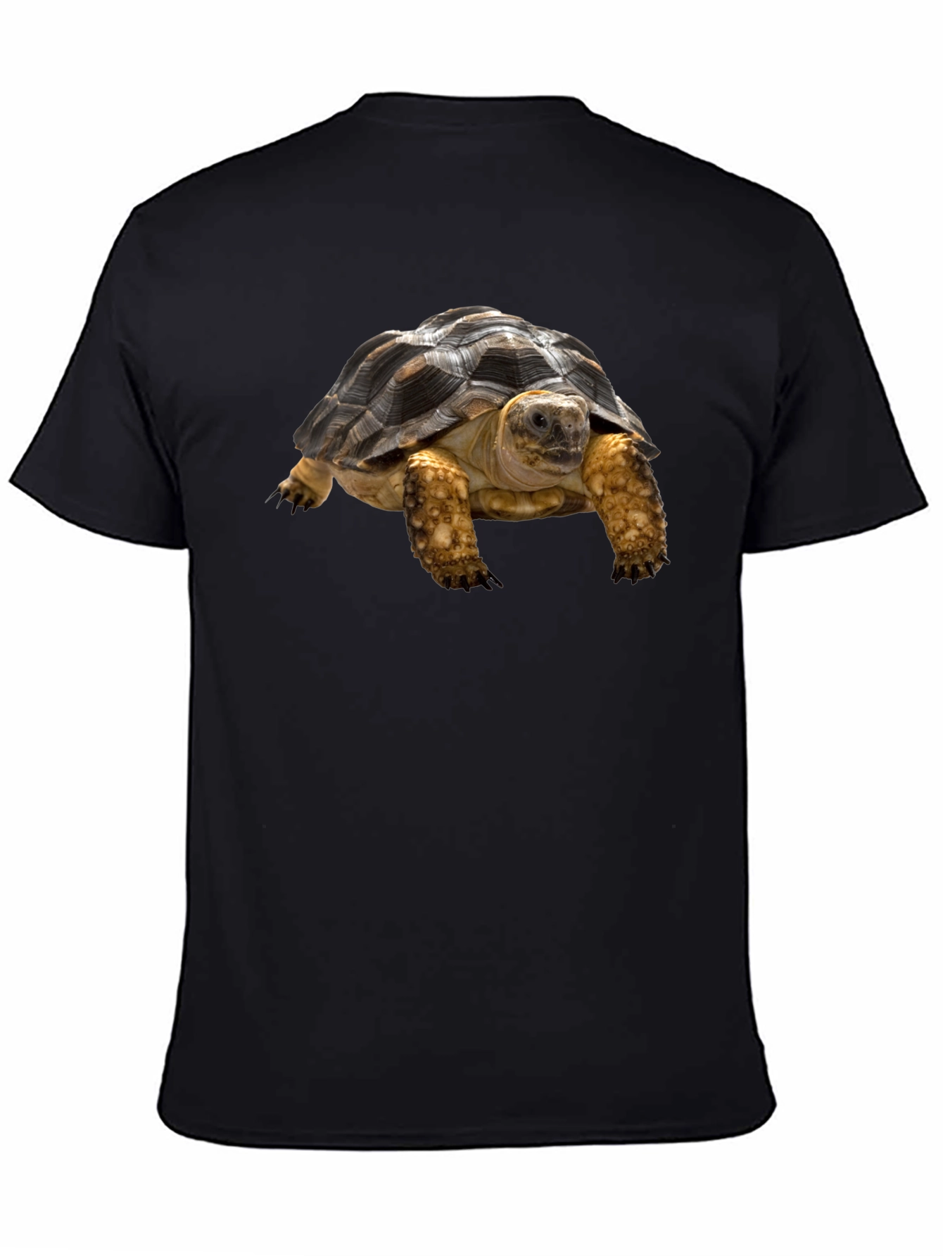 Tortoise T-Shirt - Unique Animal Graphic Tee