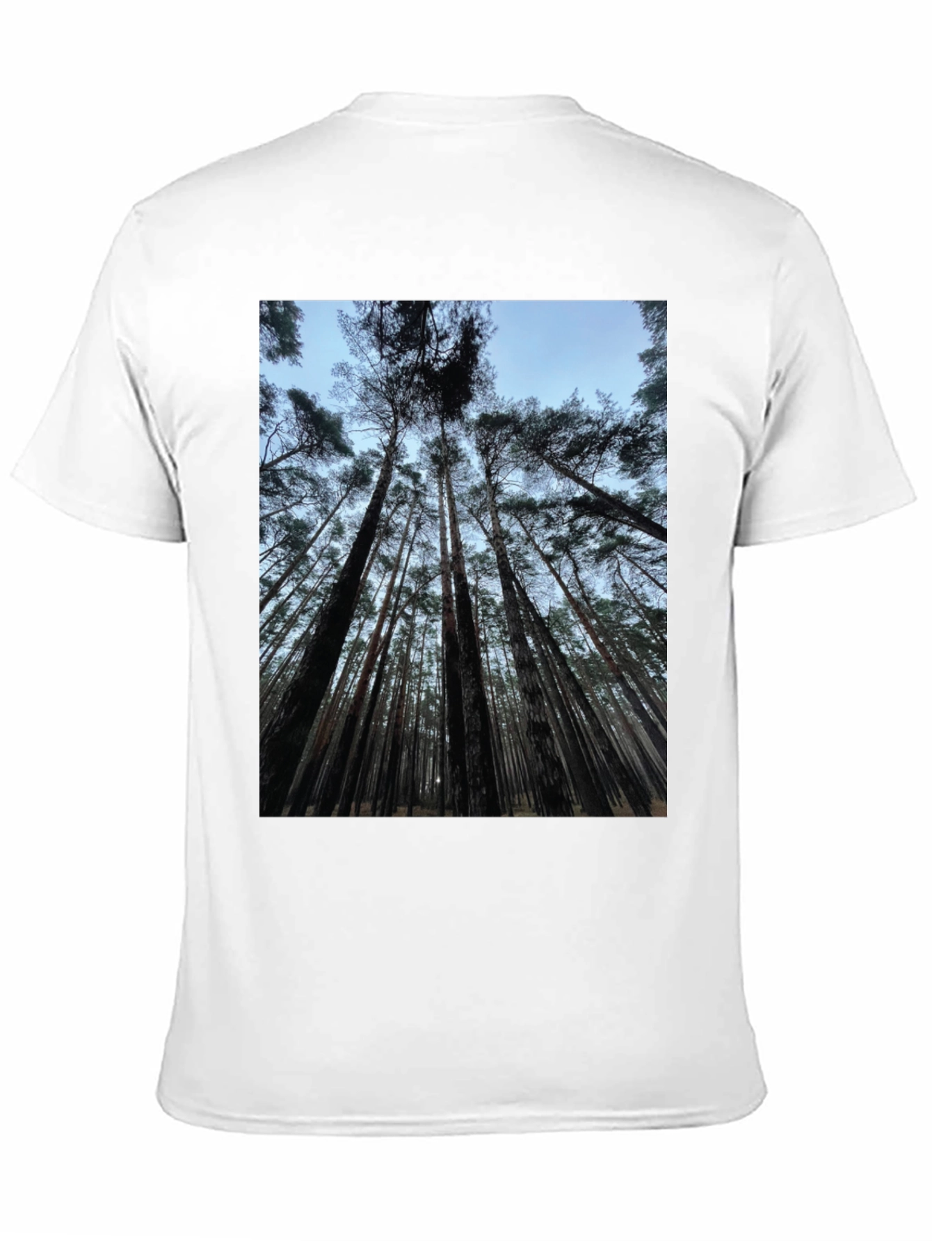 Forest Canopy Black T-Shirt