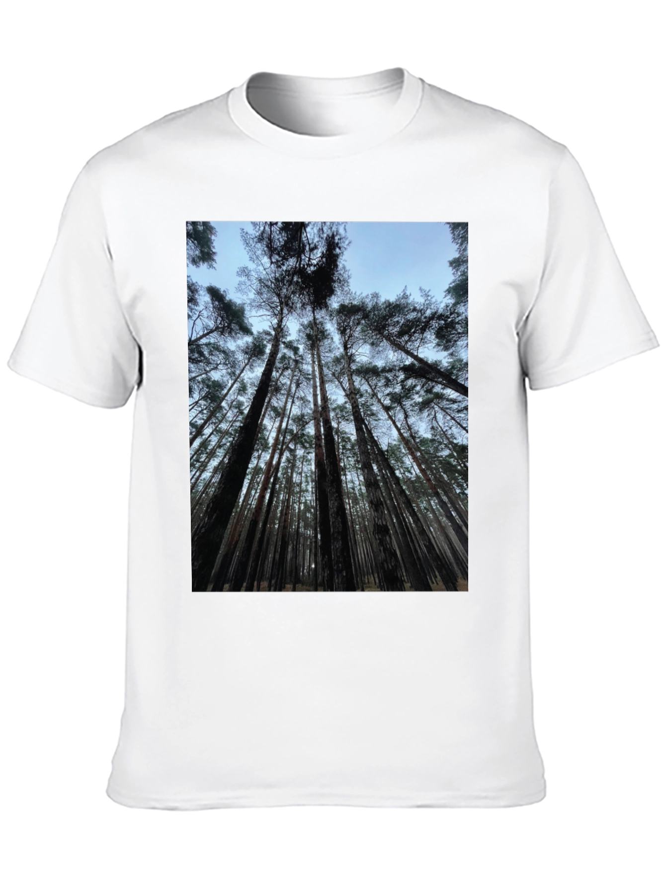 Forest Canopy Black T-Shirt