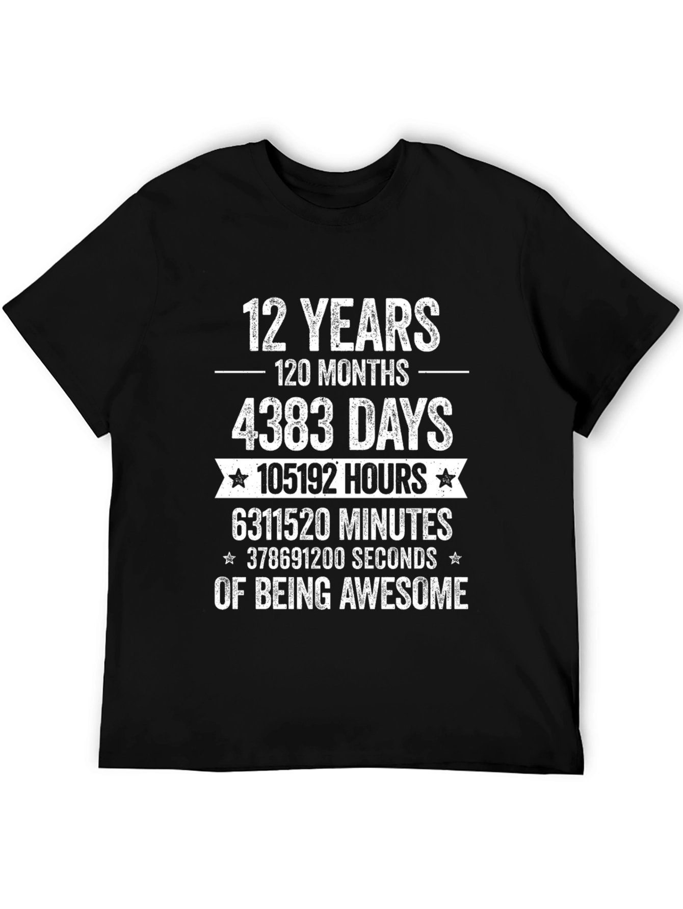 12 Years of Awesome T-Shirt