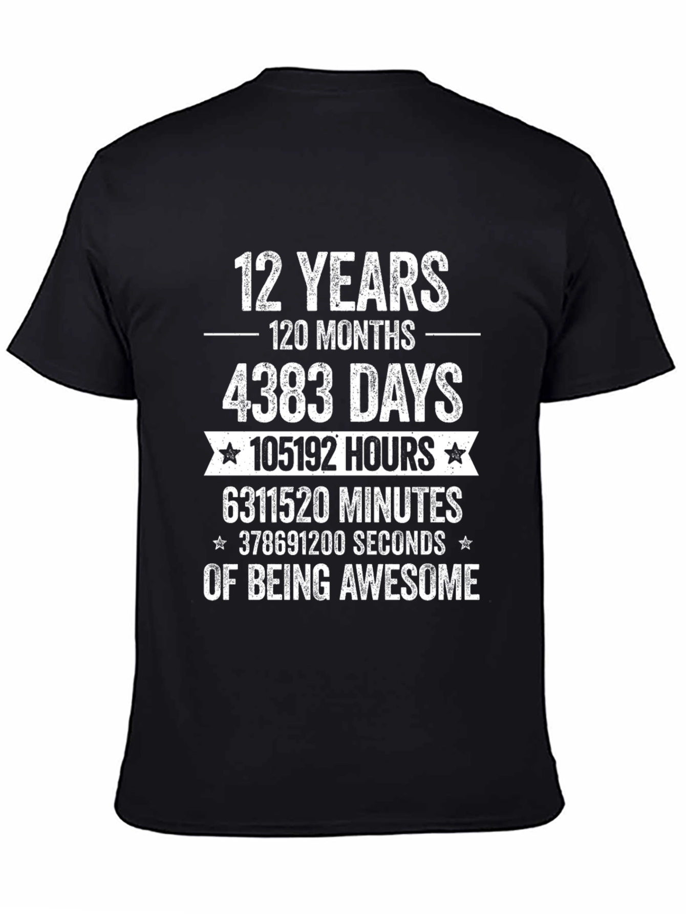 12 Years of Awesome T-Shirt