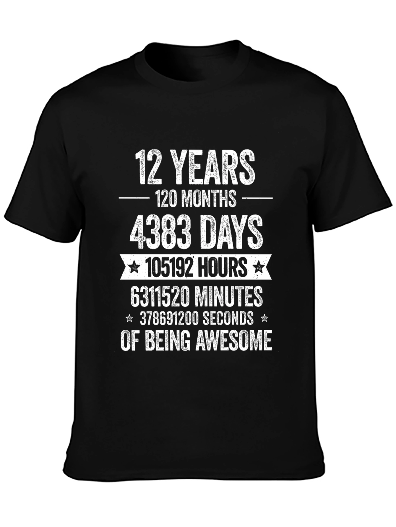 12 Years of Awesome T-Shirt