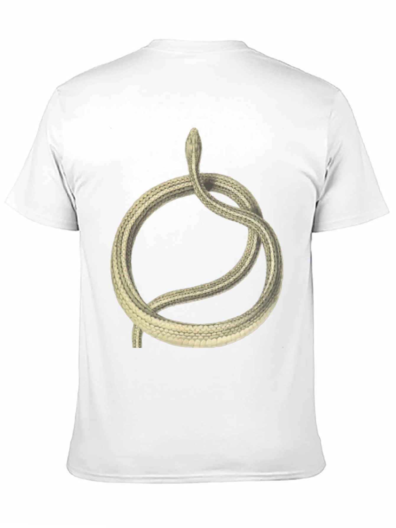 Ouroboros Snake Graphic Tee - Black Cotton T-Shirt