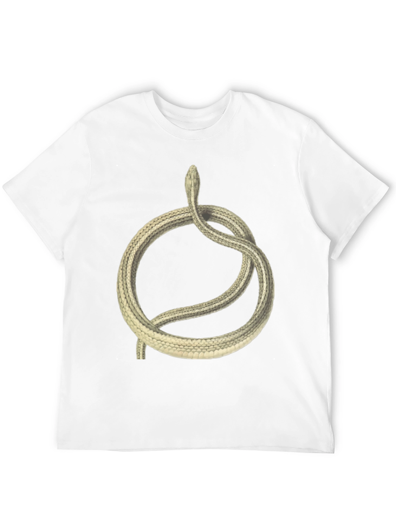 Ouroboros Snake Graphic Tee - Black Cotton T-Shirt