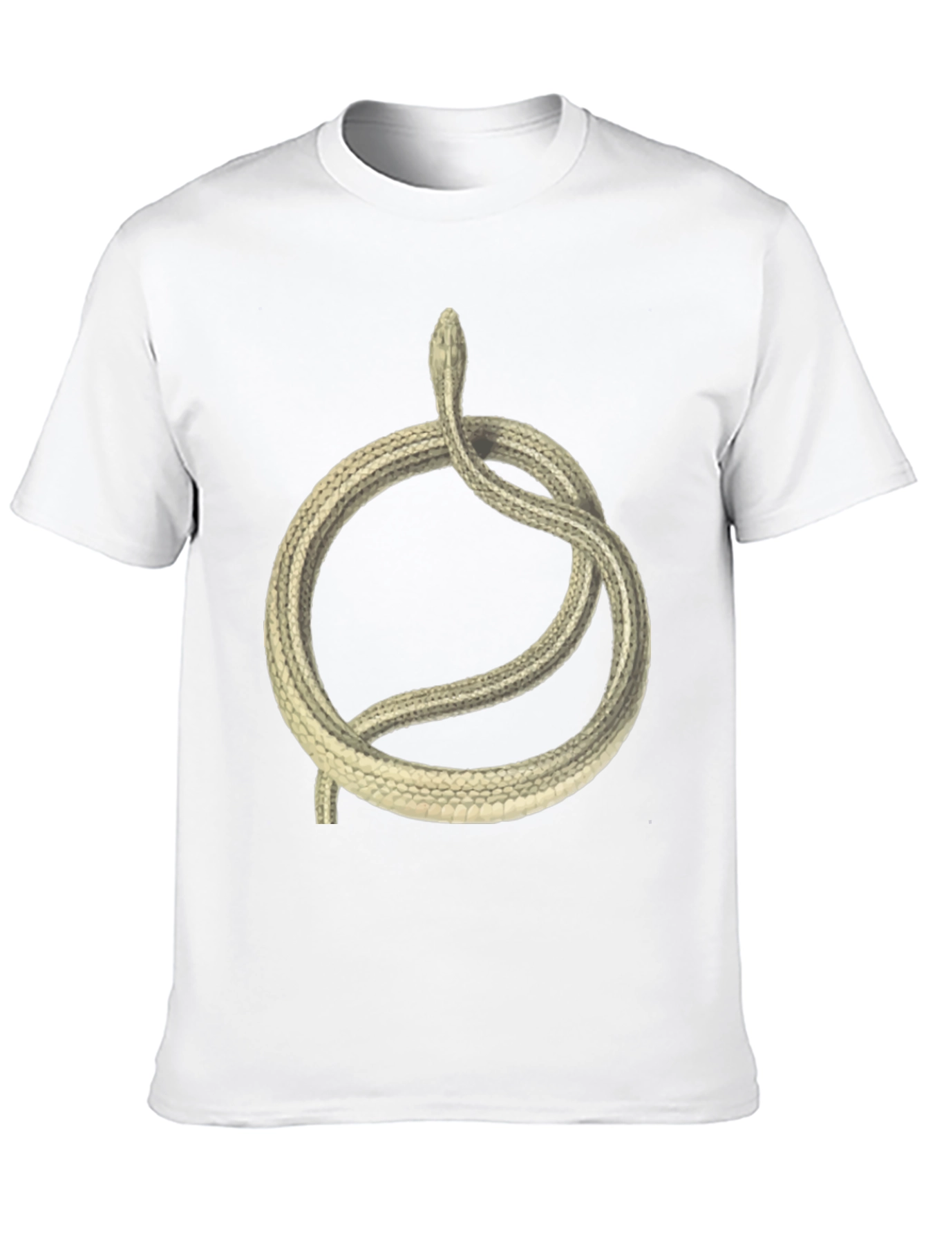Ouroboros Snake Graphic Tee - Black Cotton T-Shirt