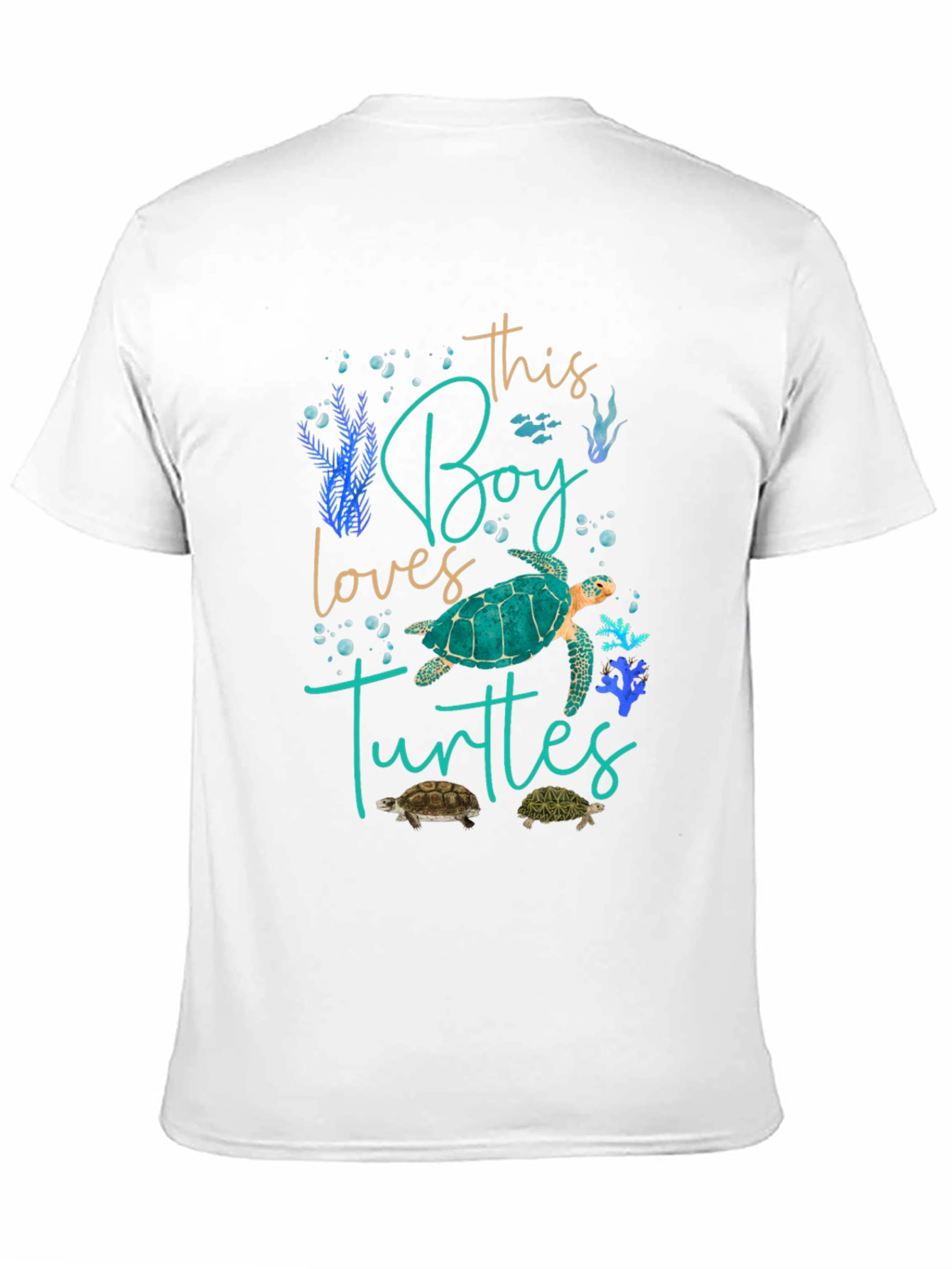 Boy Loves Turtles Graphic Tee