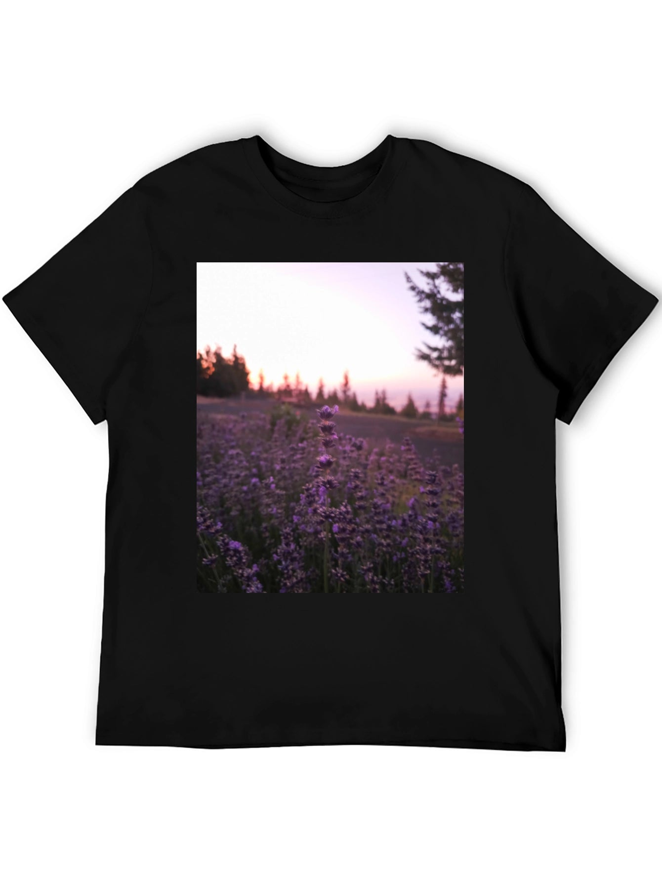 Lavender Field Graphic Tee - Black Cotton Blend T-Shirt