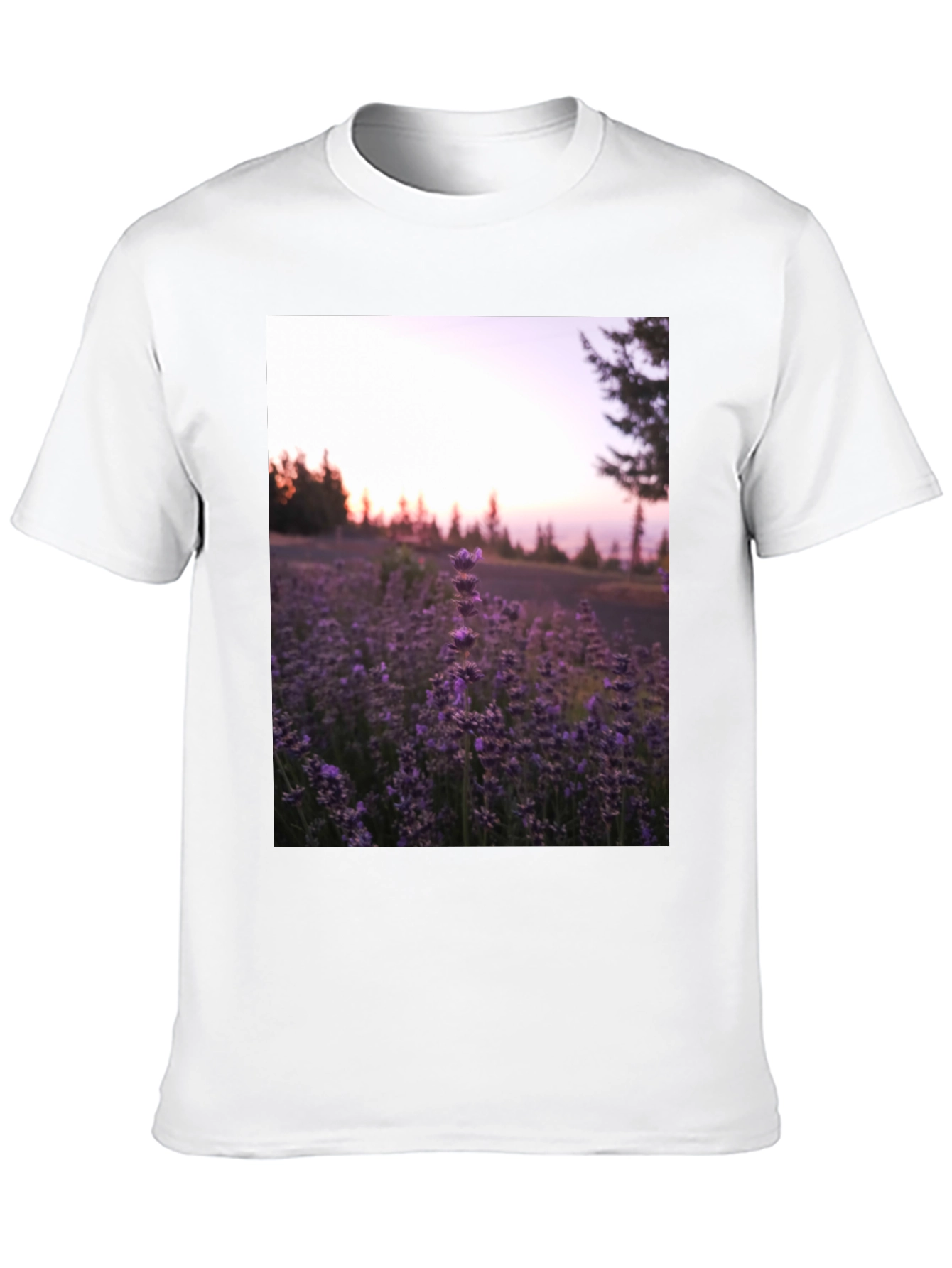 Lavender Field Graphic Tee - Black Cotton Blend T-Shirt