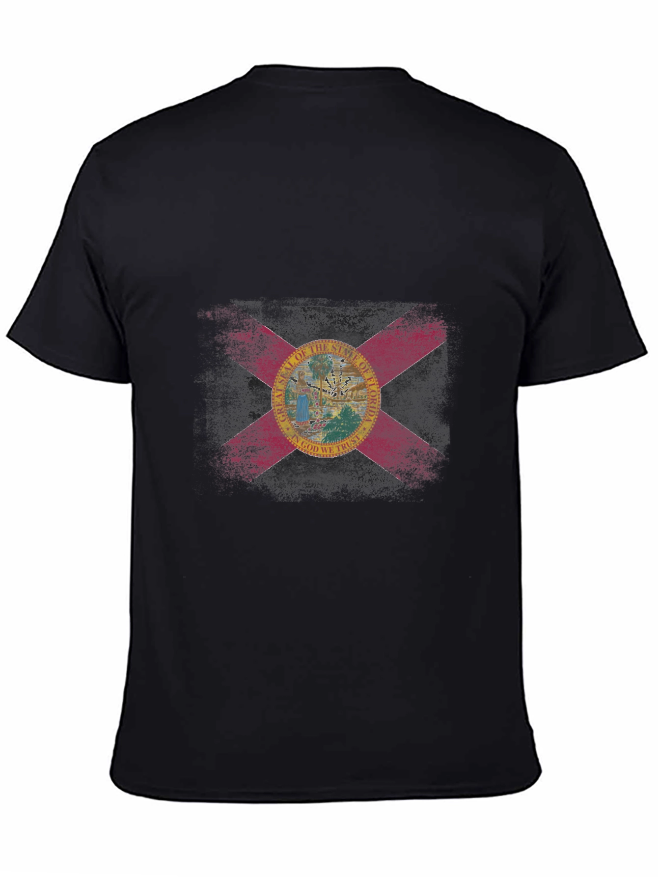 Florida Flag Graphic T-Shirt