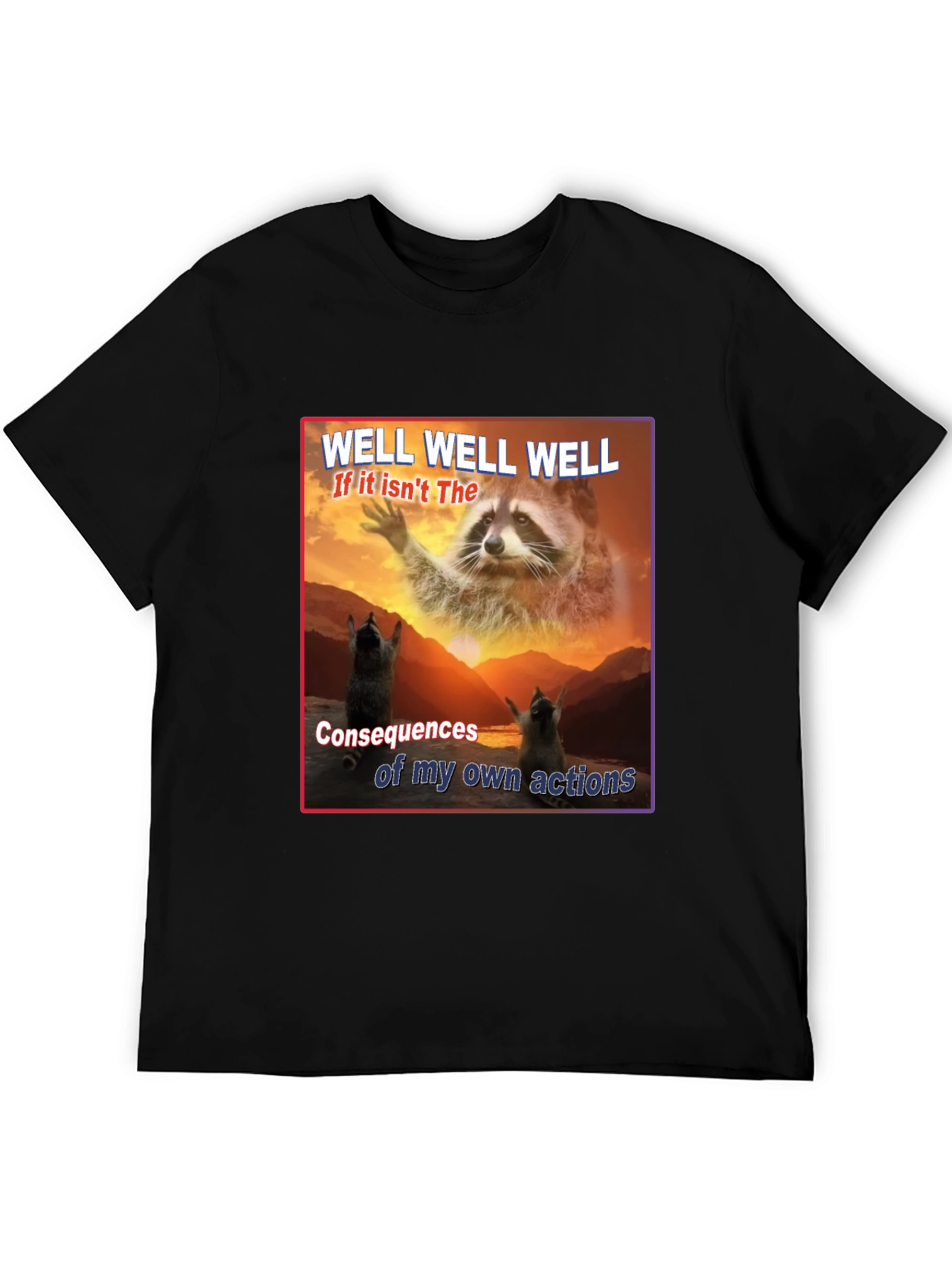 Funny Raccoon T-Shirt: Consequences of My Actions