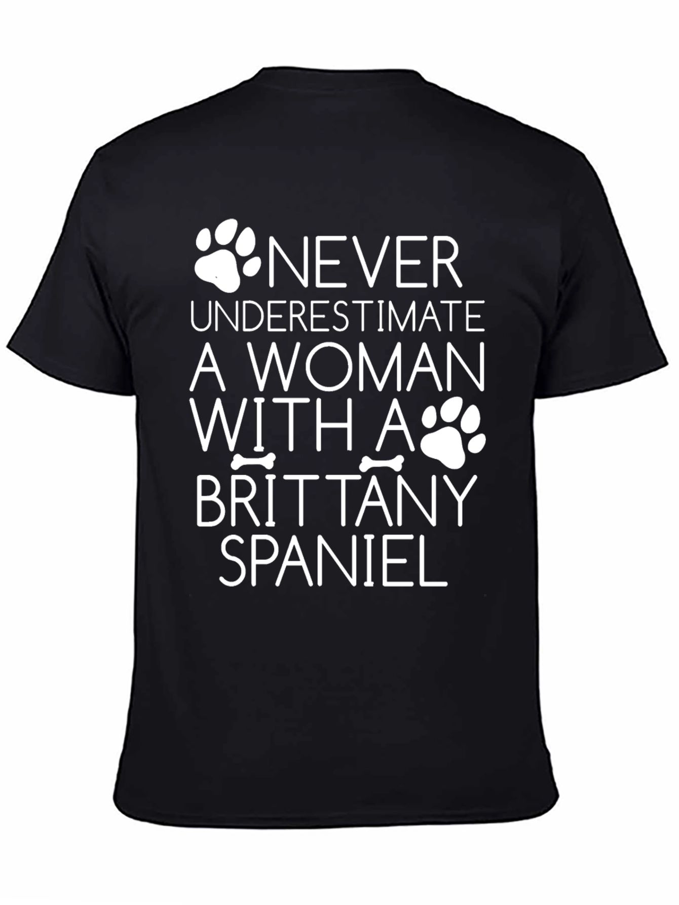 Brittany Spaniel Woman T-Shirt