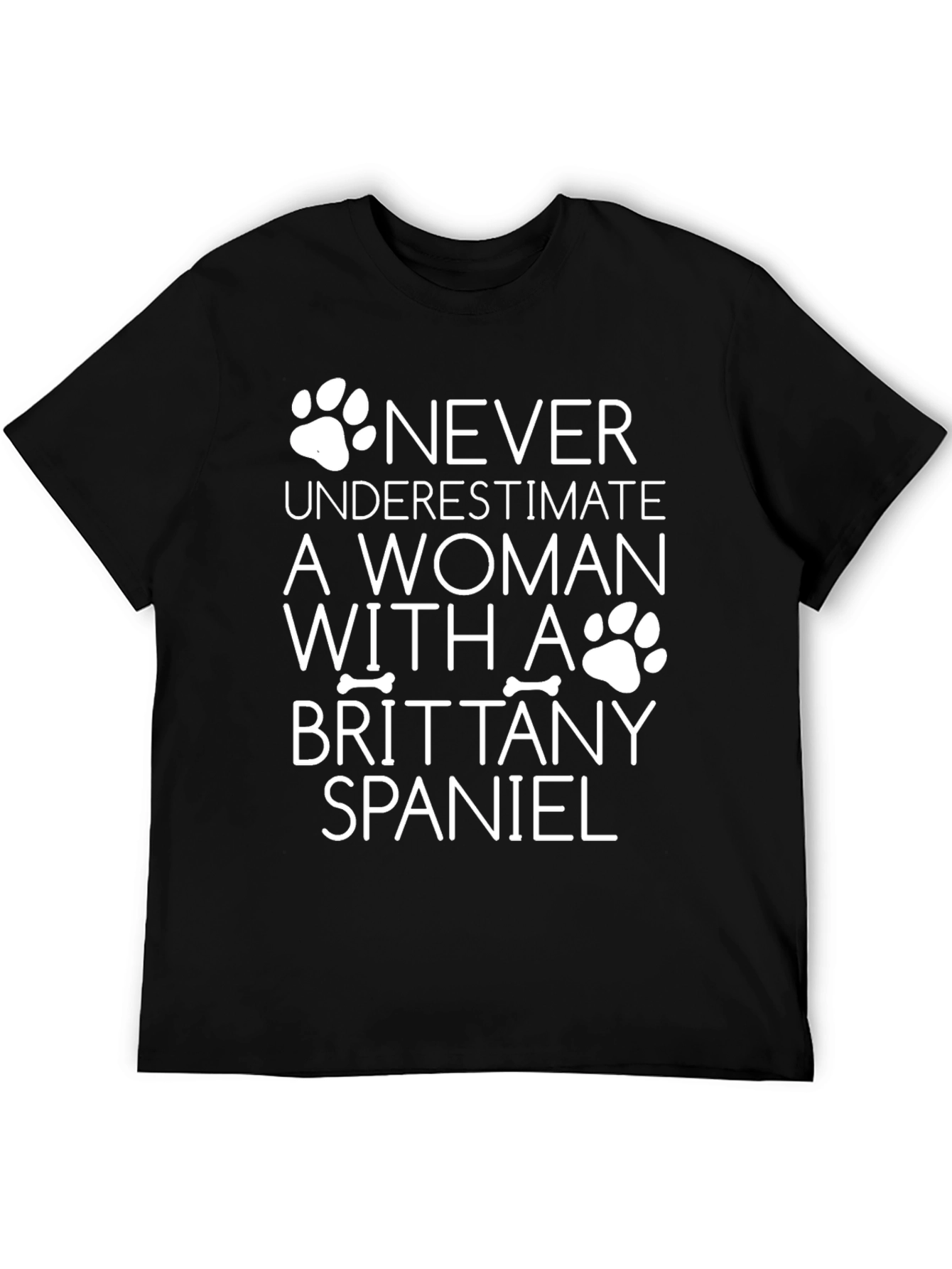 Brittany Spaniel Woman T-Shirt