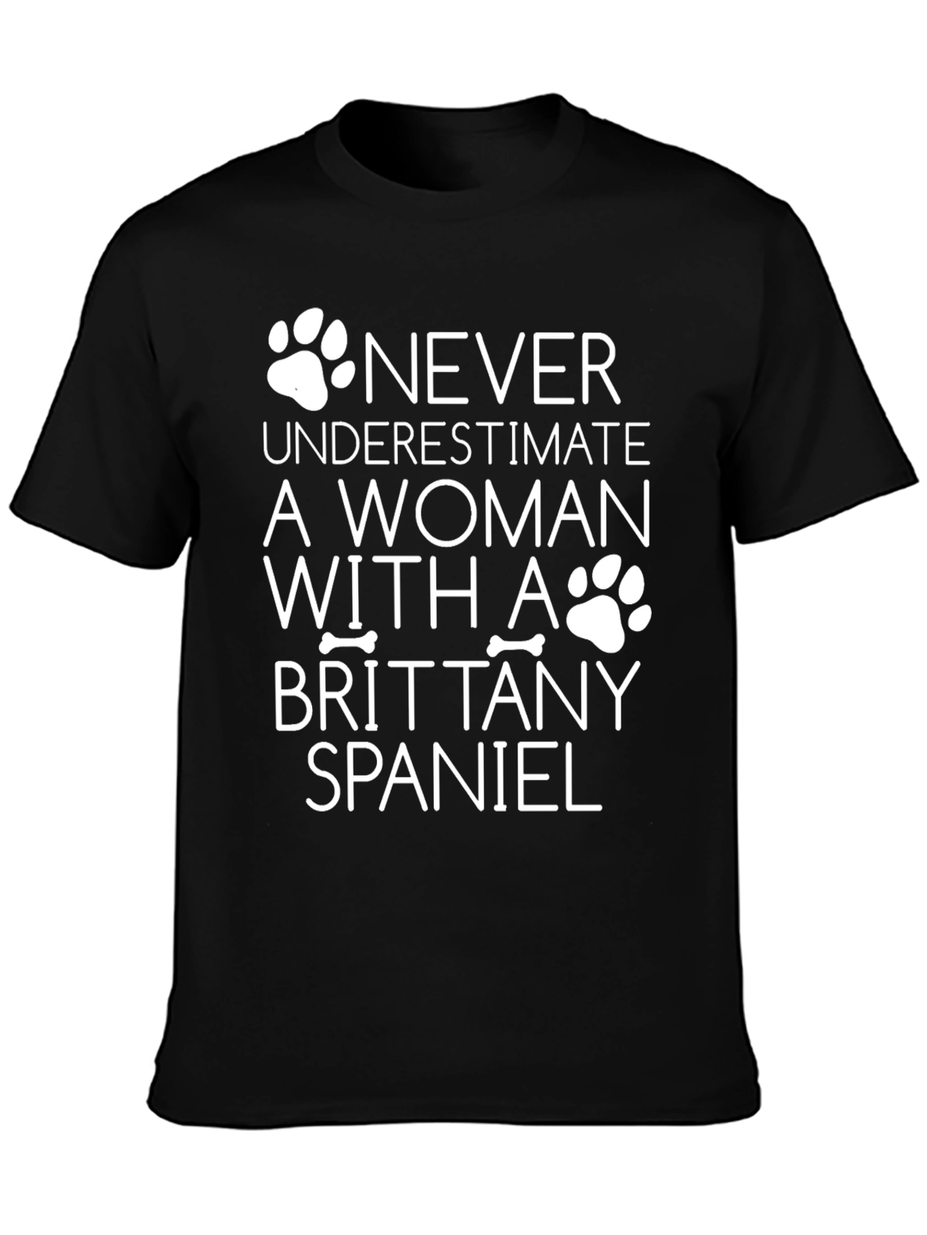 Brittany Spaniel Woman T-Shirt