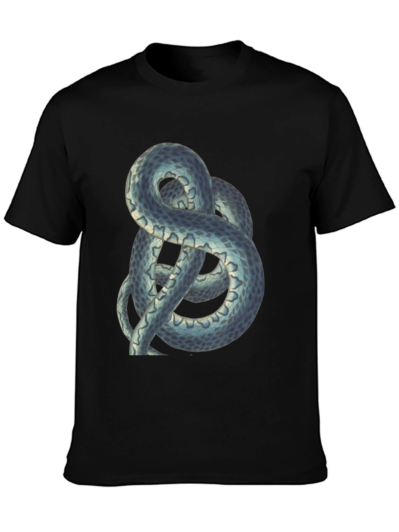 Snake Graphic Tee - Cool Reptile Design