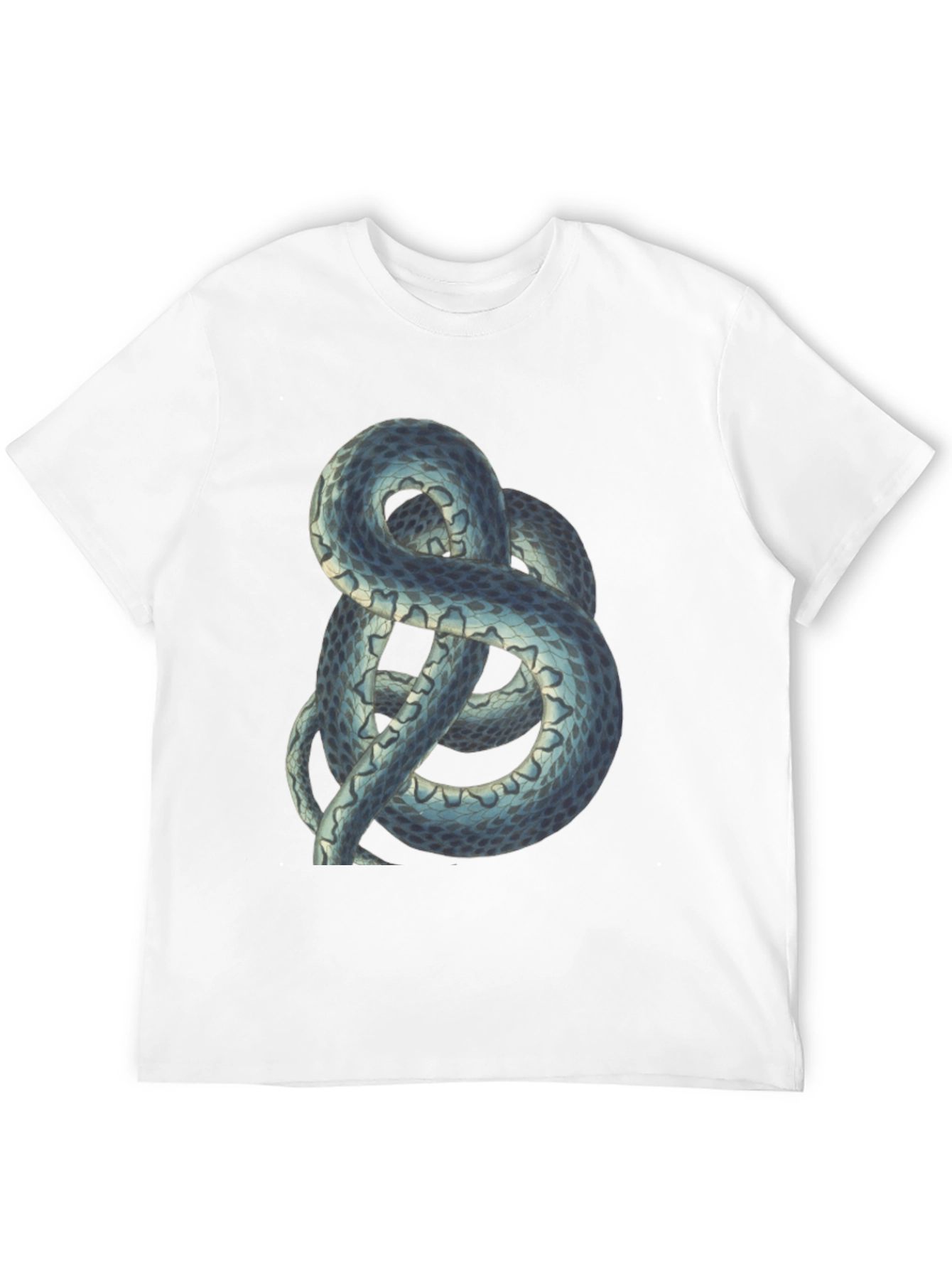 Snake Graphic Tee - Cool Reptile Design