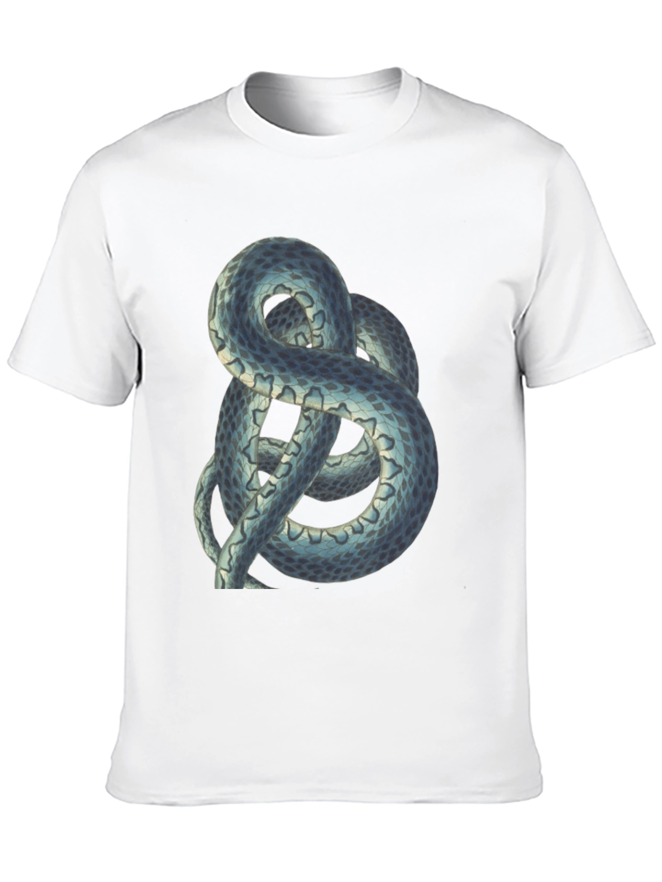 Snake Graphic Tee - Cool Reptile Design