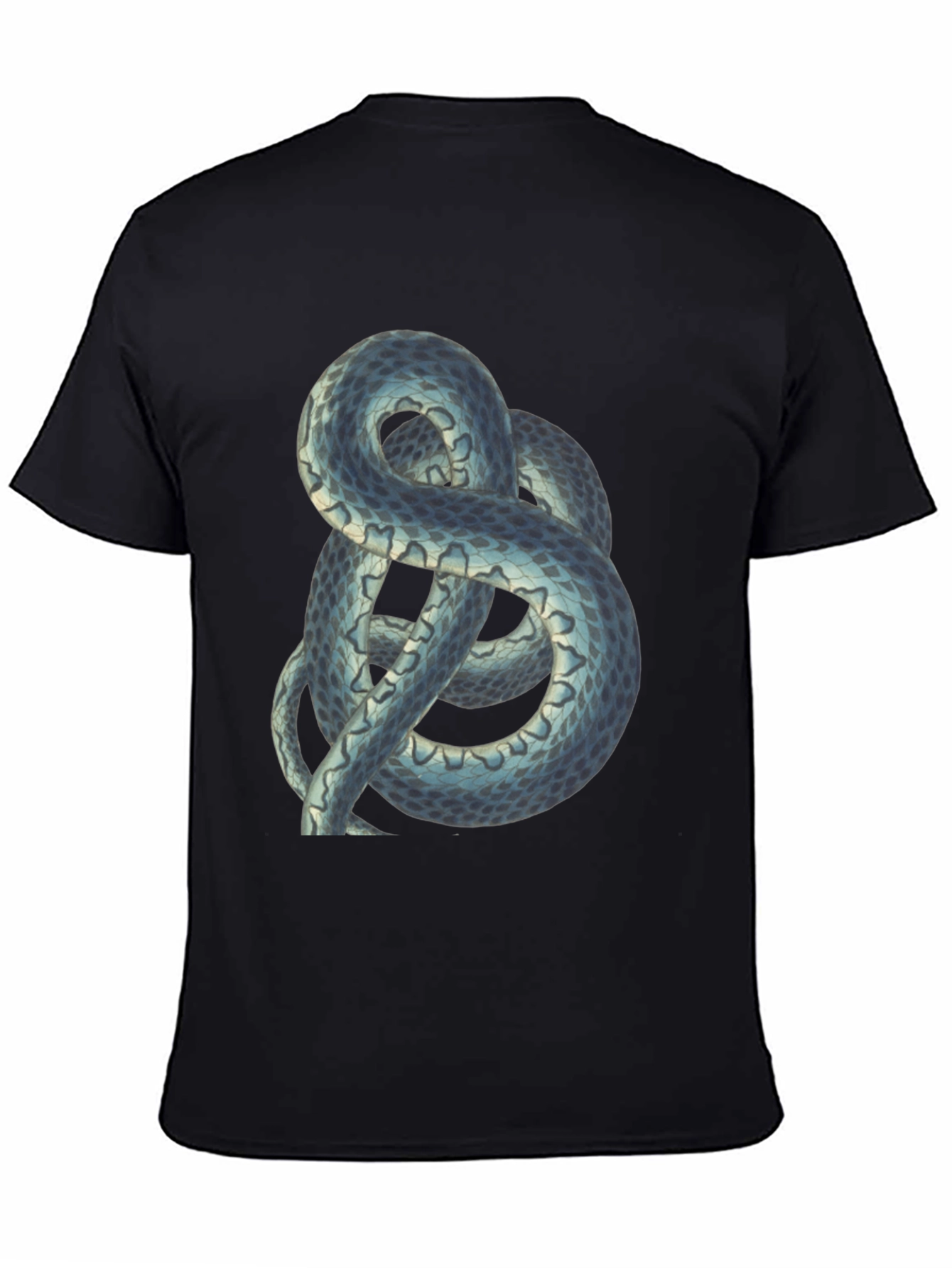 Snake Graphic Tee - Cool Reptile Design