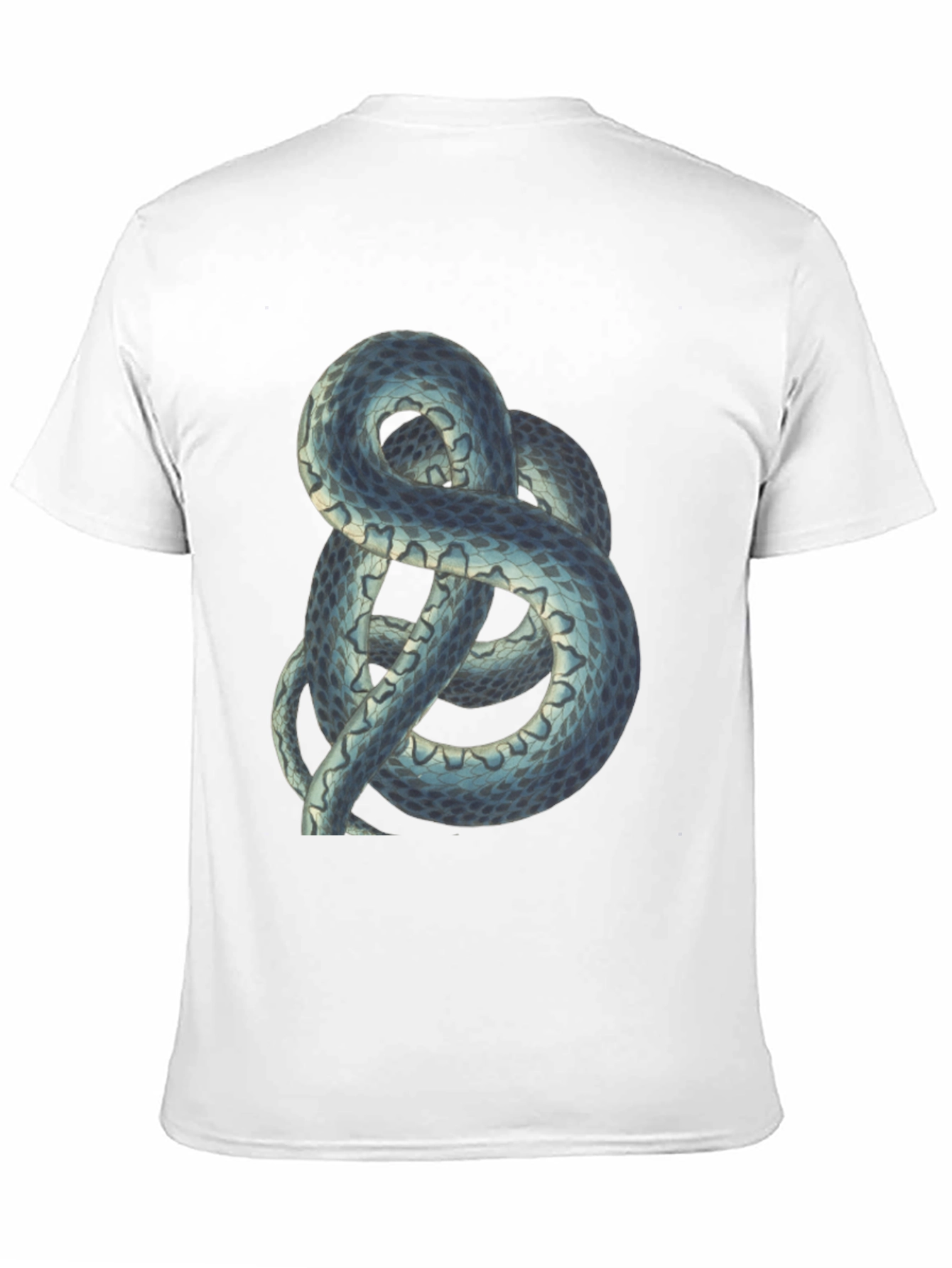 Snake Graphic Tee - Cool Reptile Design