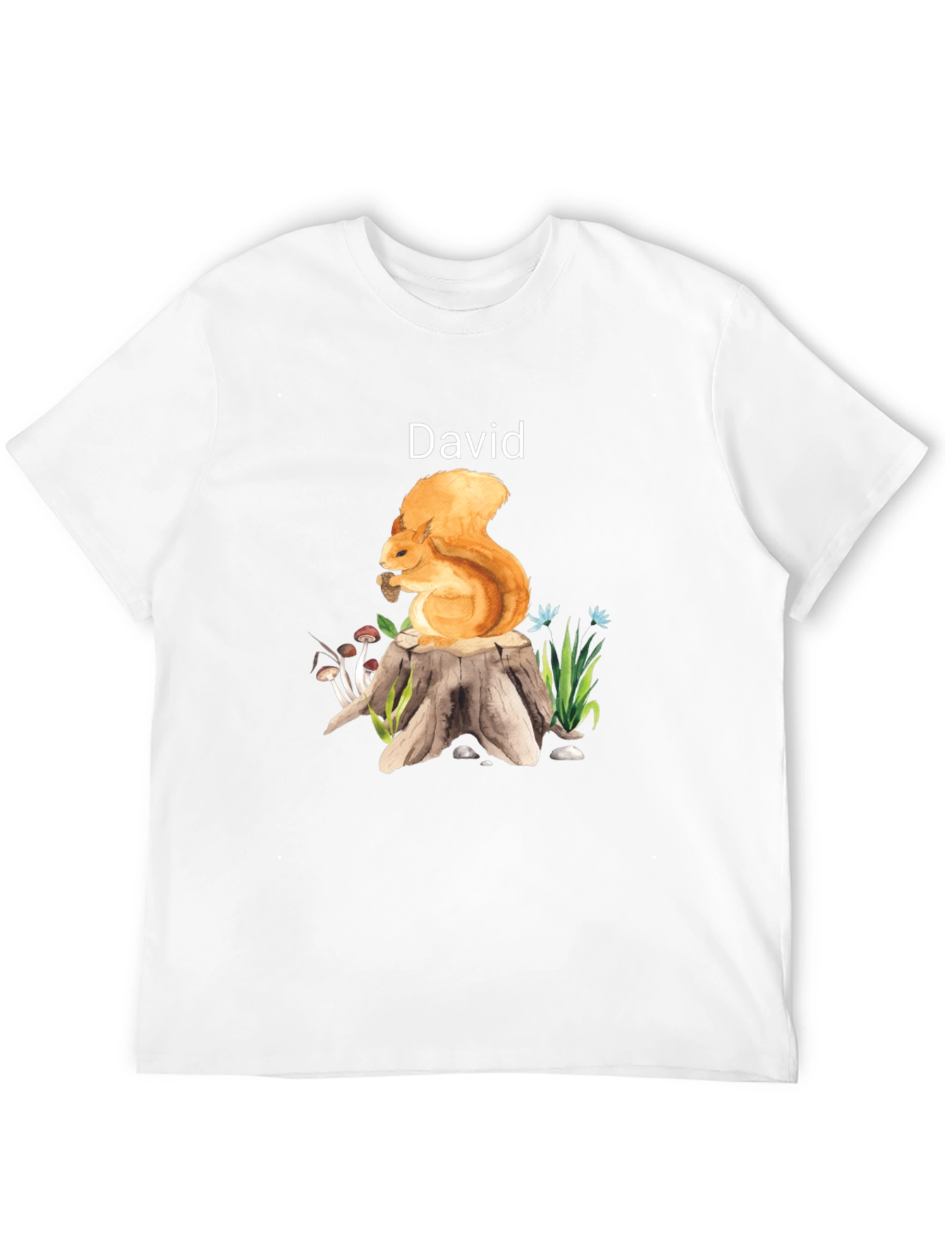 Squirrel on Stump David T-Shirt