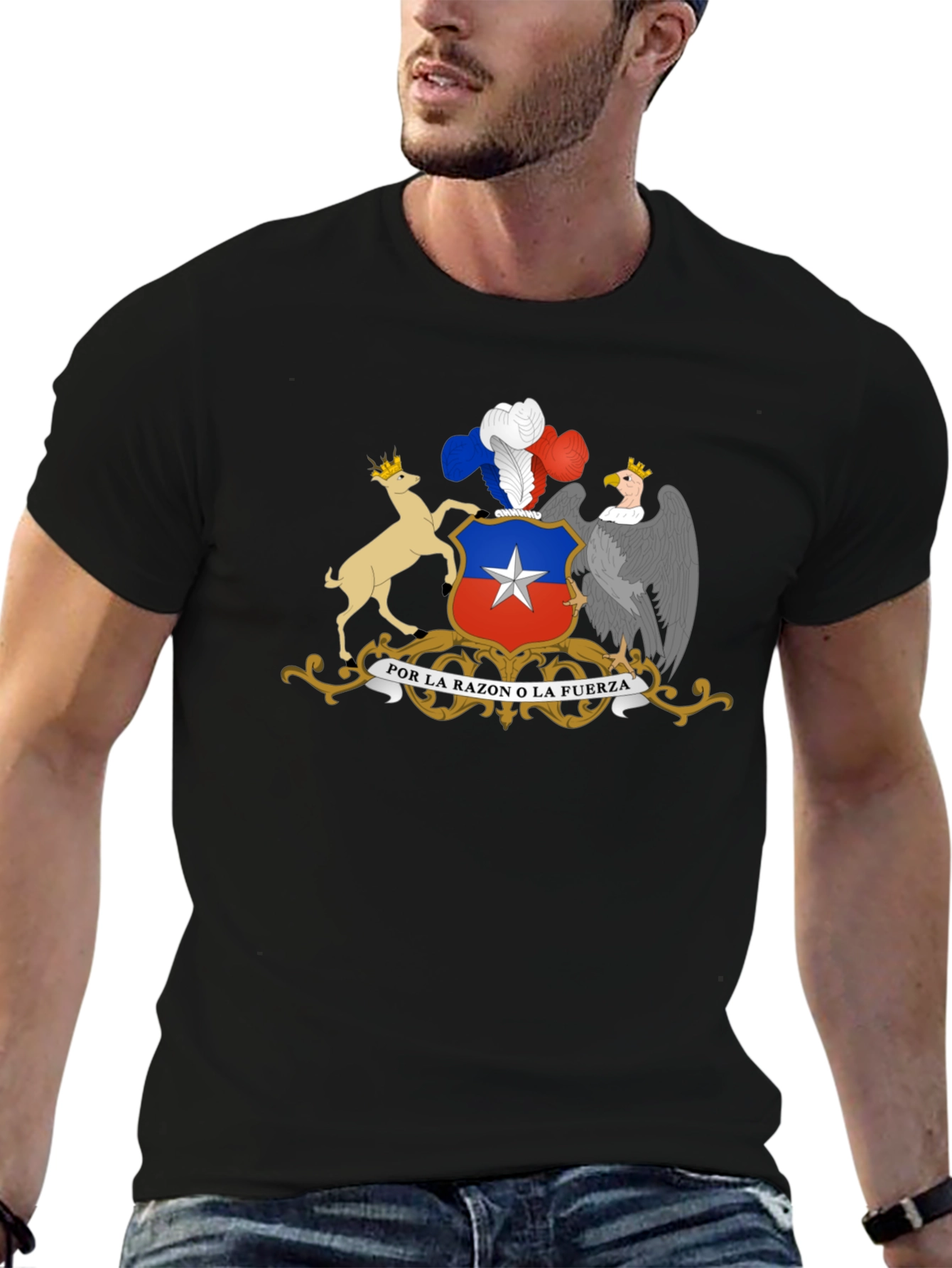 Chile Coat of Arms Graphic T-Shirt - Black