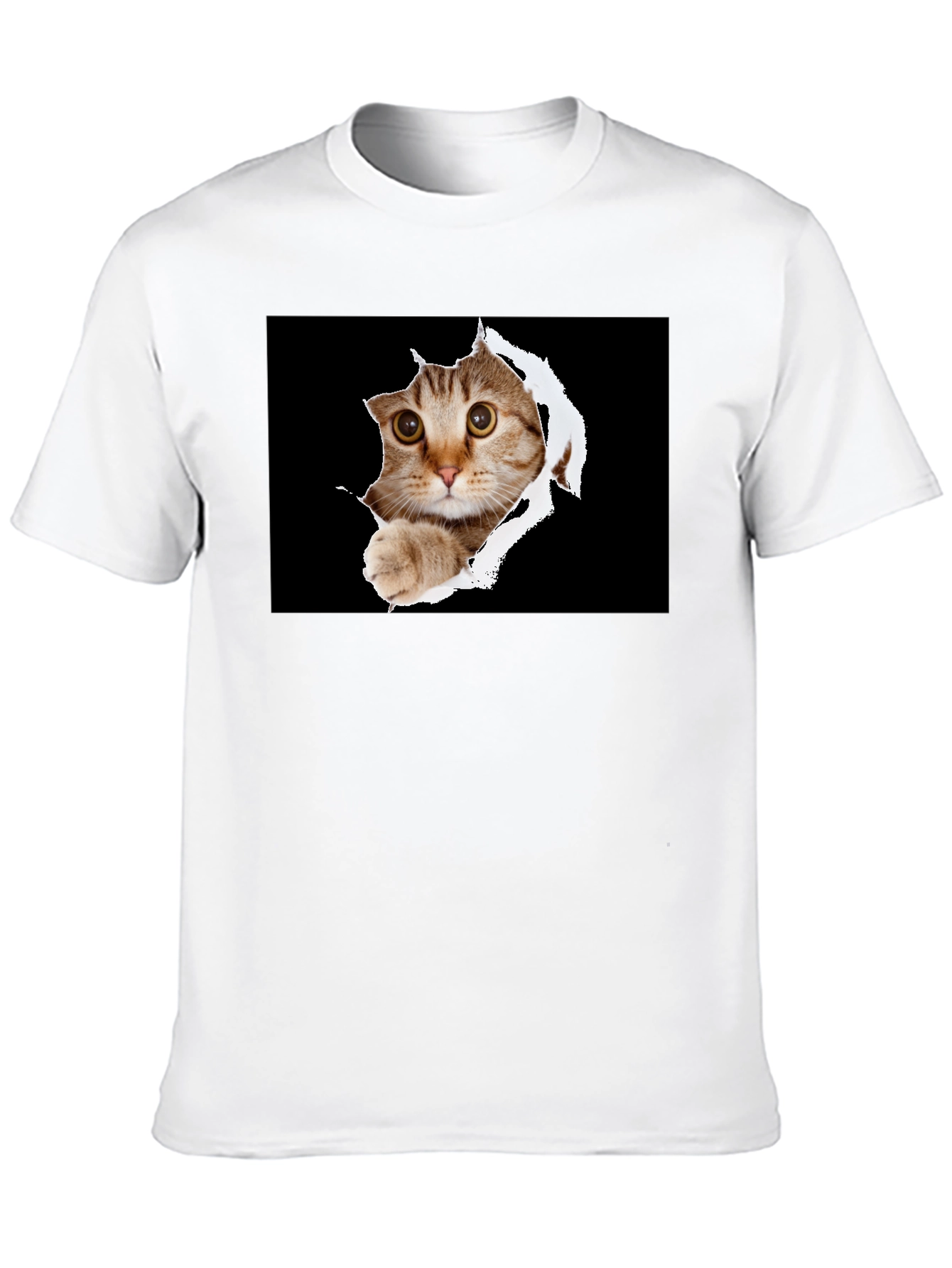Cat Peek-A-Boo Graphic T-Shirt - Novelty Print Tee