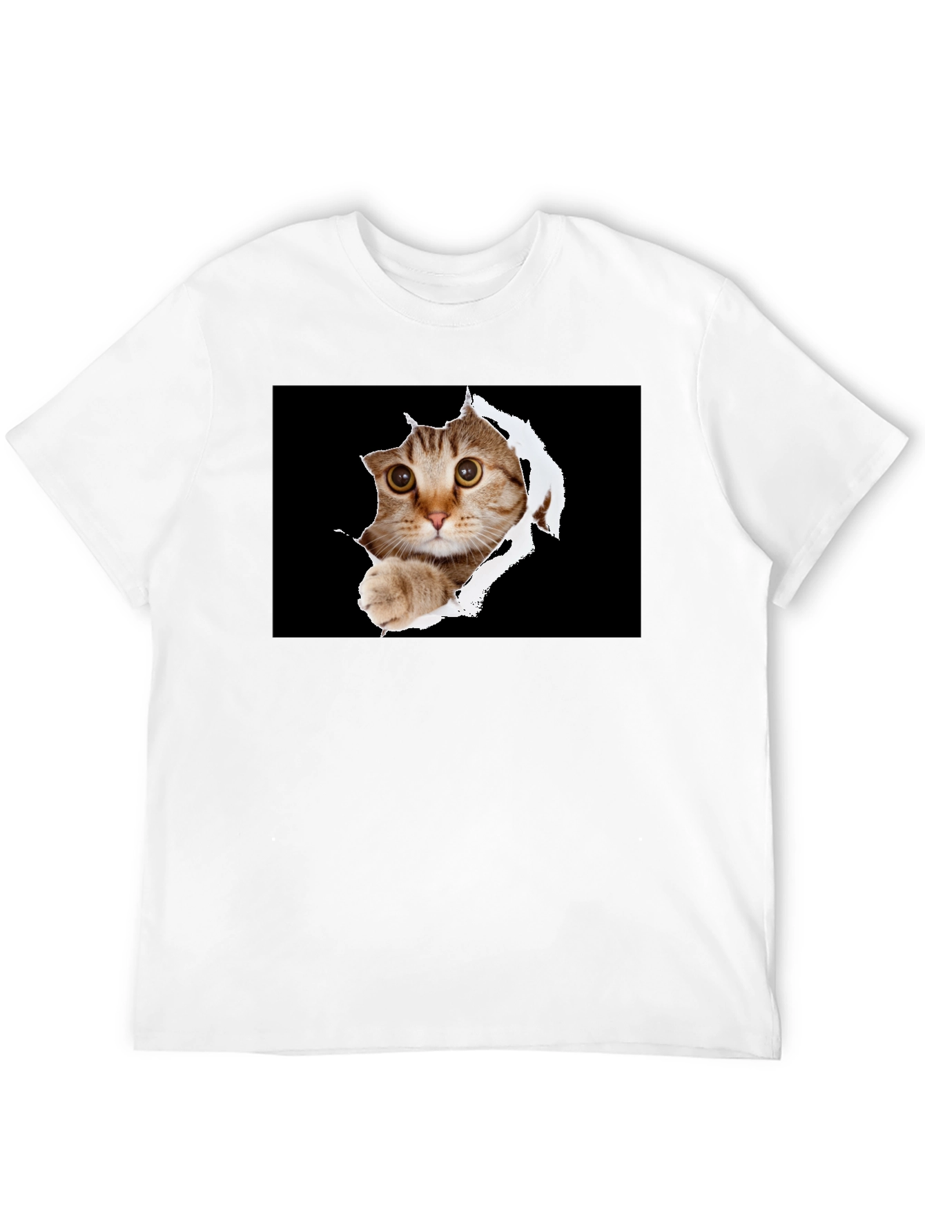 Cat Peek-A-Boo Graphic T-Shirt - Novelty Print Tee