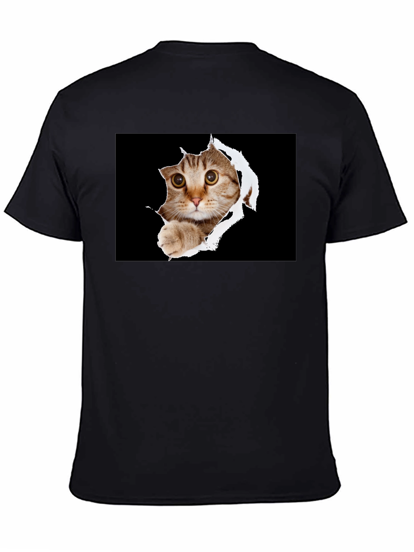 Cat Peek-A-Boo Graphic T-Shirt - Novelty Print Tee