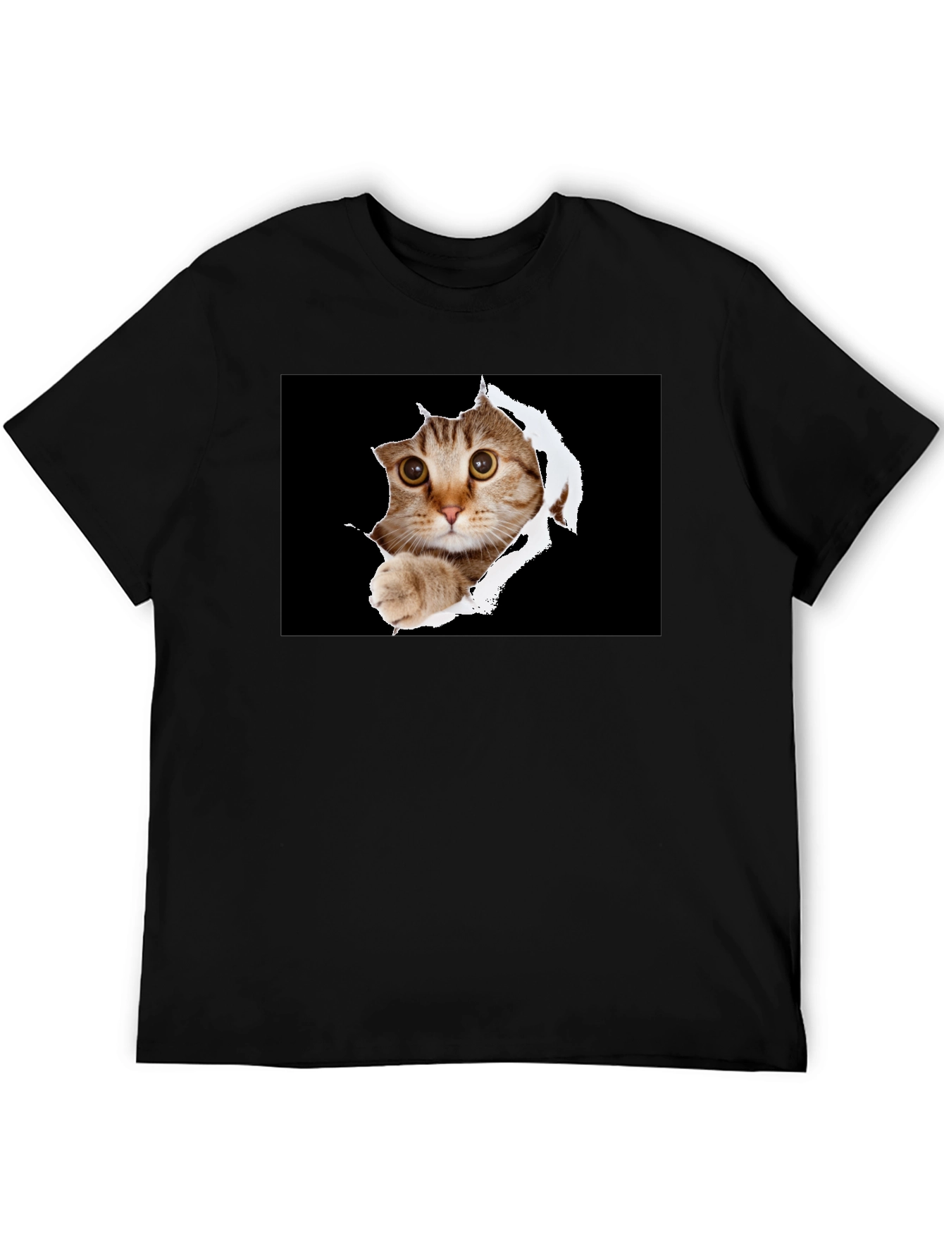 Cat Peek-A-Boo Graphic T-Shirt - Novelty Print Tee