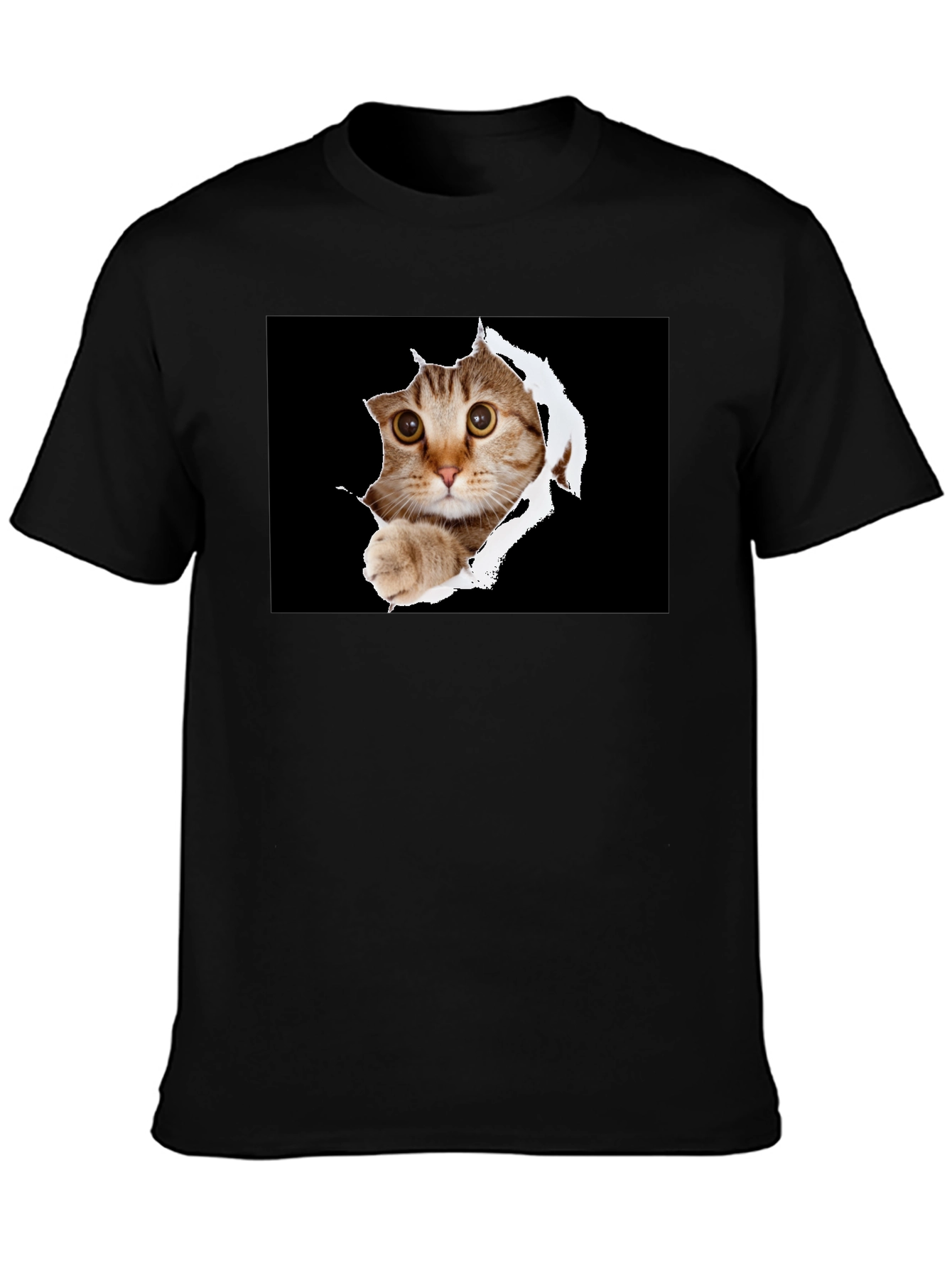 Cat Peek-A-Boo Graphic T-Shirt - Novelty Print Tee