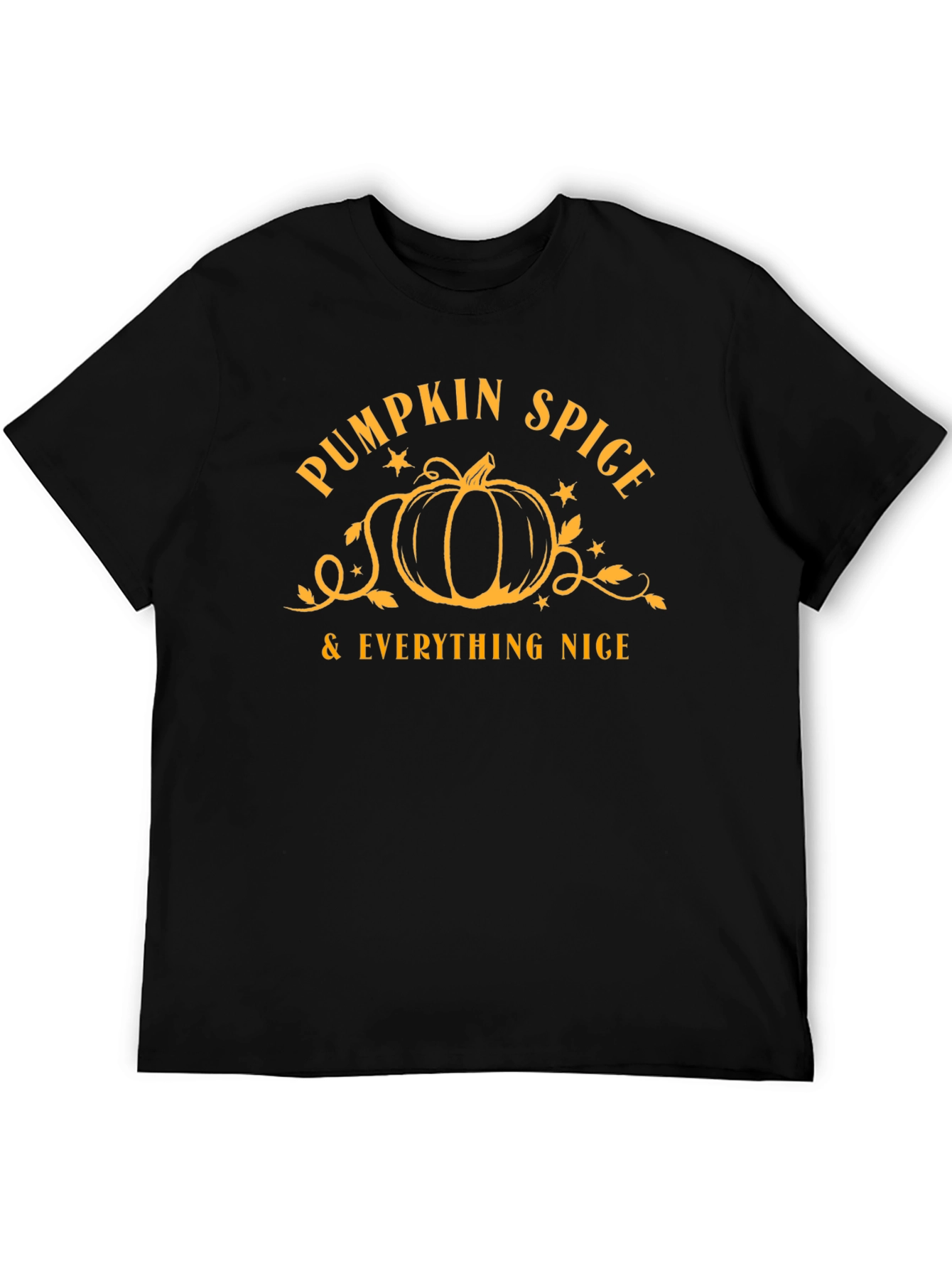 Pumpkin Spice & Everything Nice T-Shirt