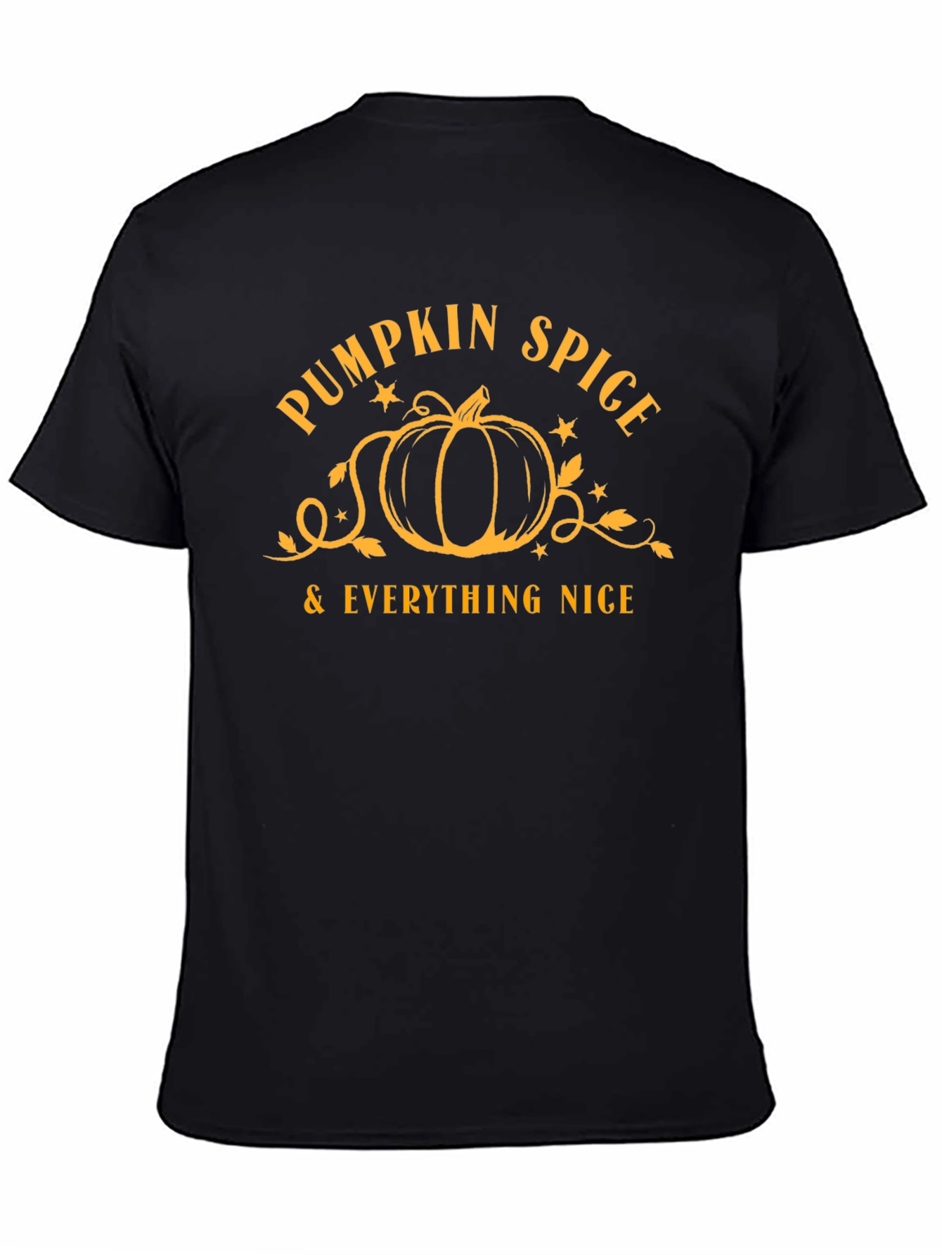 Pumpkin Spice & Everything Nice T-Shirt