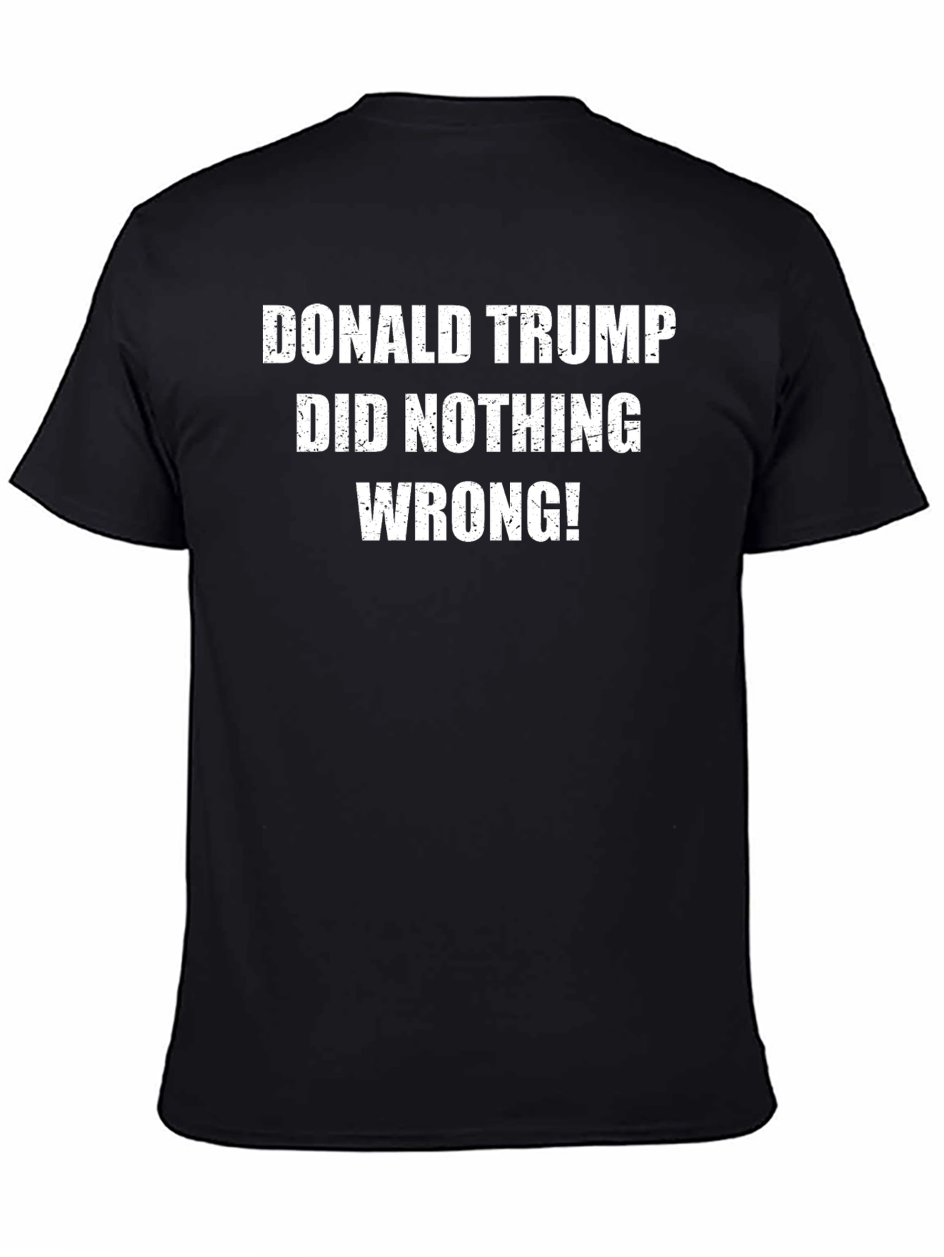 Donald Trump Did Nothing Wrong T-Shirt
