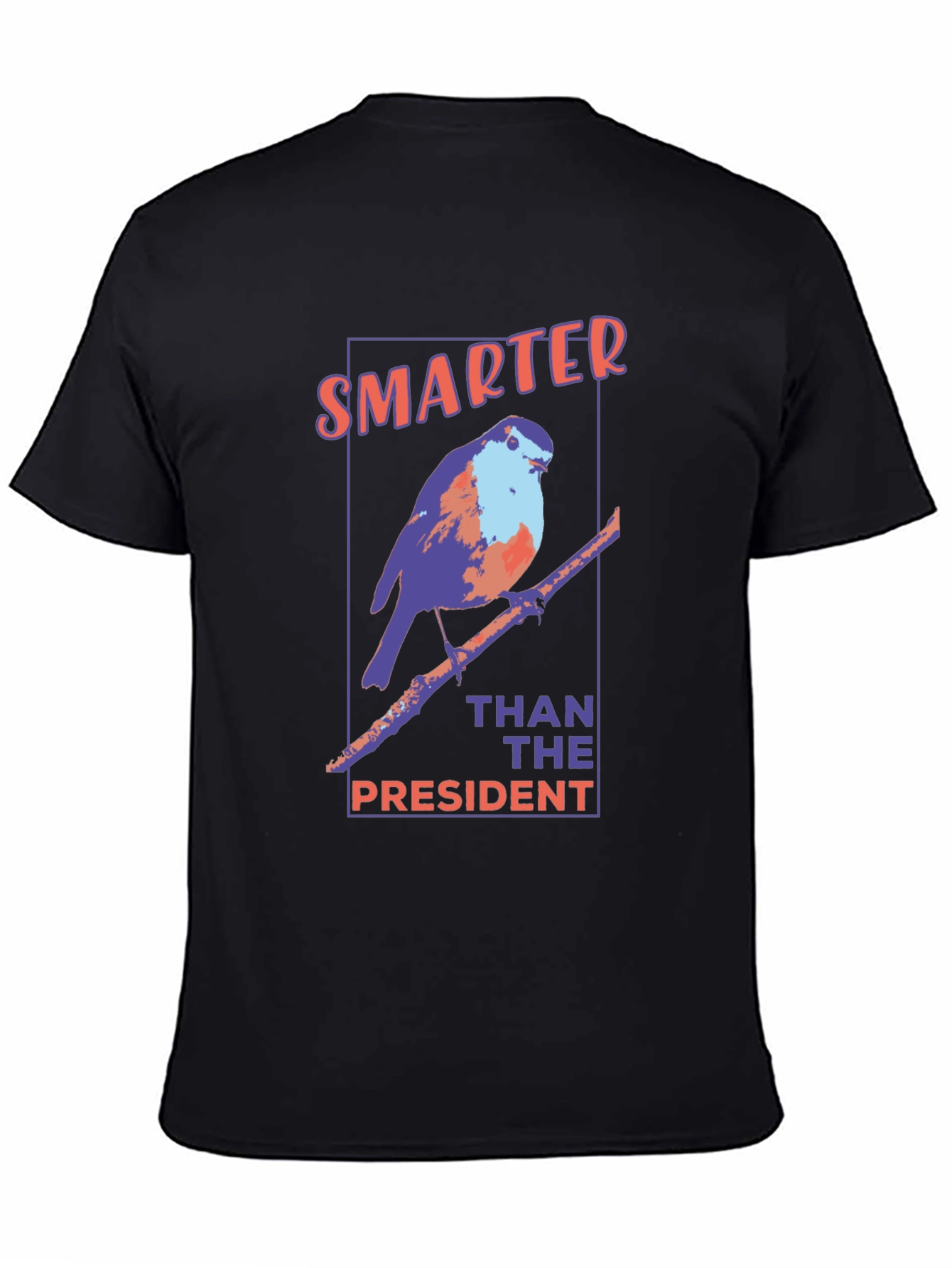 Smarter Than The President Graphic Tee