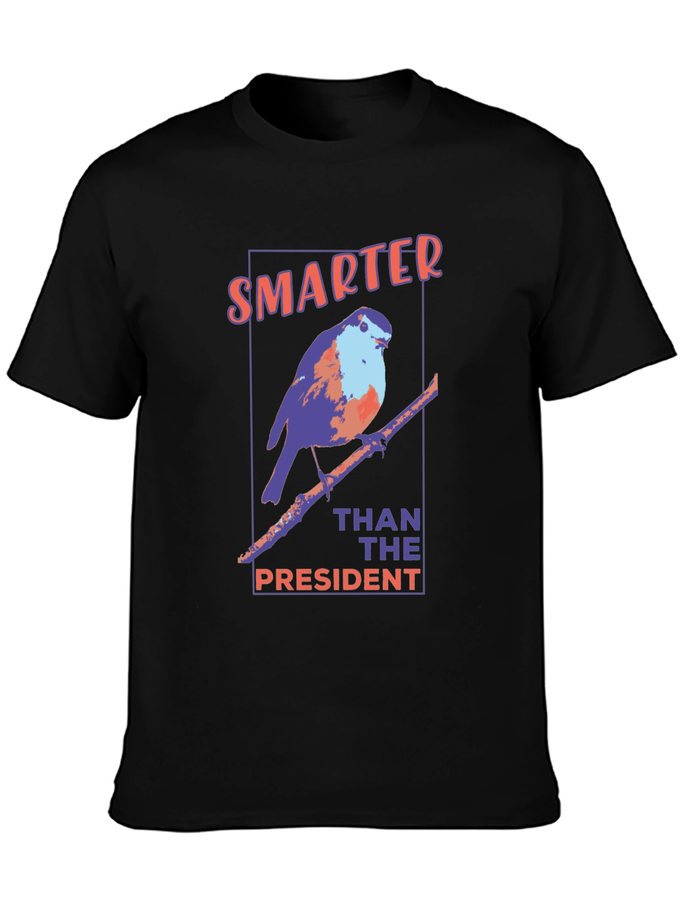 Smarter Than The President Graphic Tee