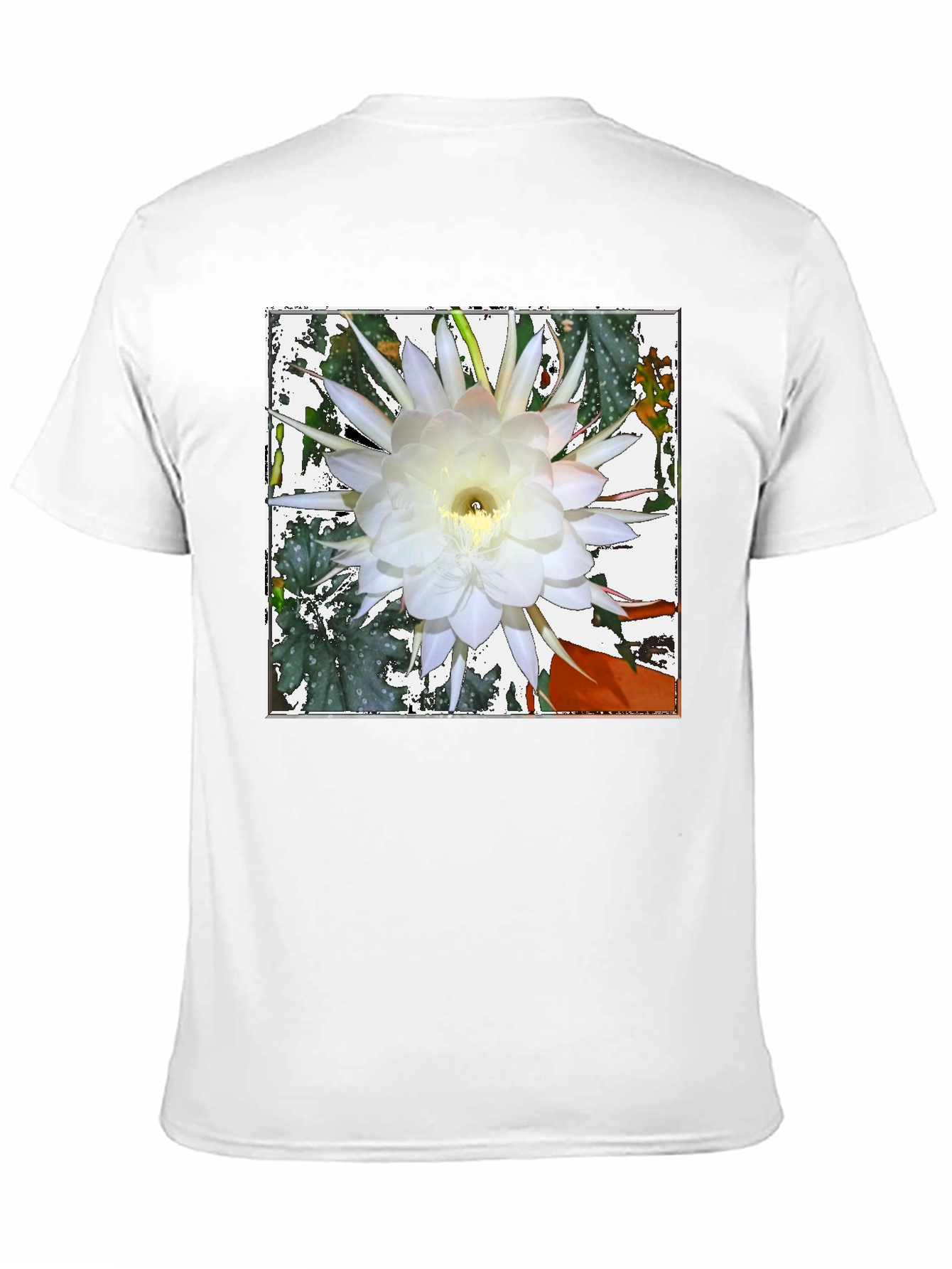 Floral Graphic Tee - Night Blooming Cereus Design
