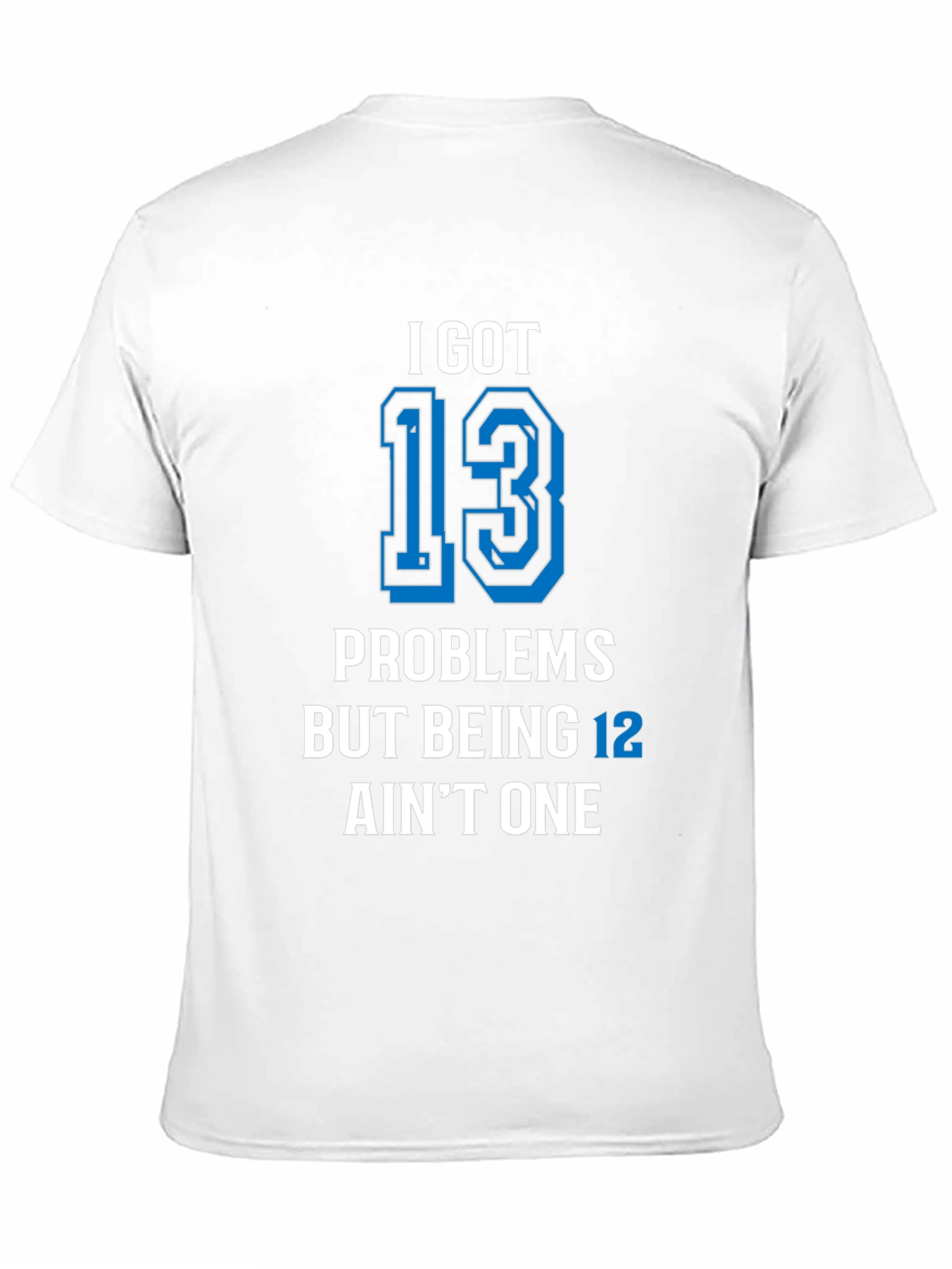 I Got 13 Problems T-Shirt Funny Birthday