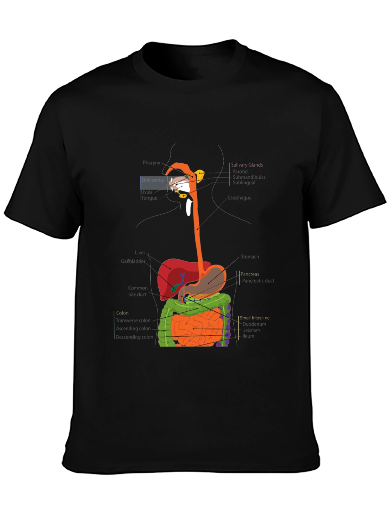 Digestive System Anatomy Graphic T-Shirt